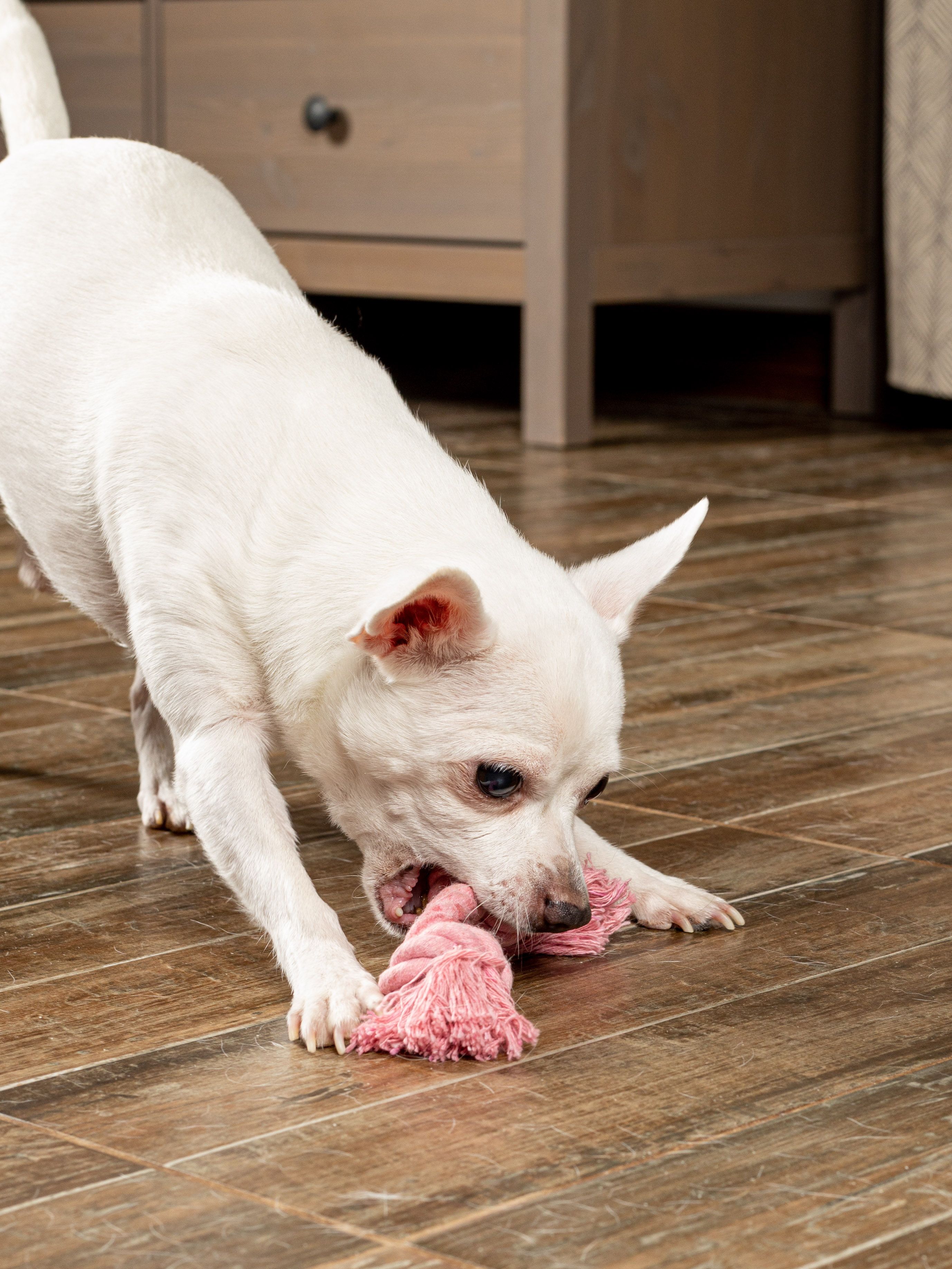 Produkt DTCT631127 Bild 12