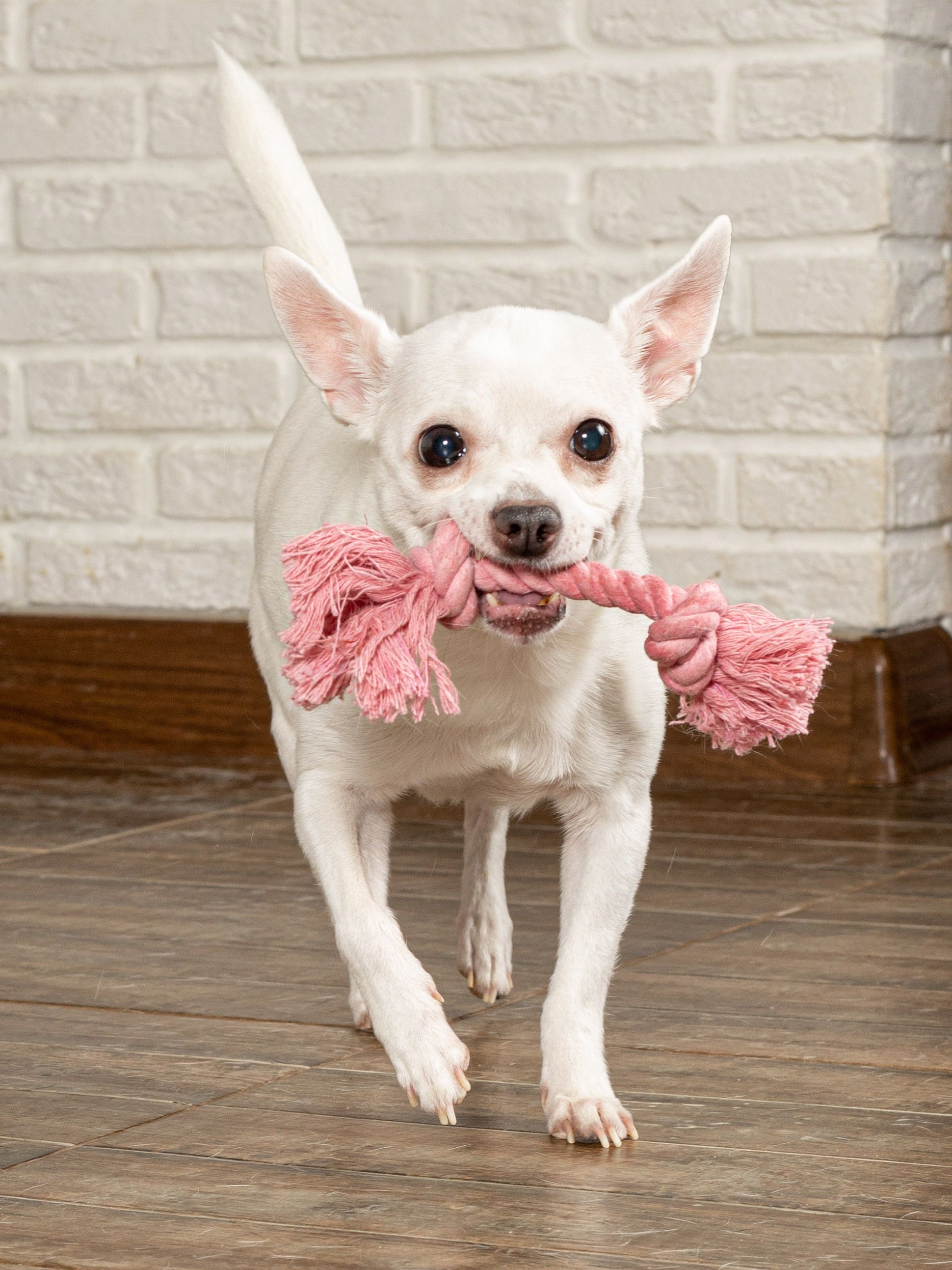 Produkt DTCT631127 Bild 13