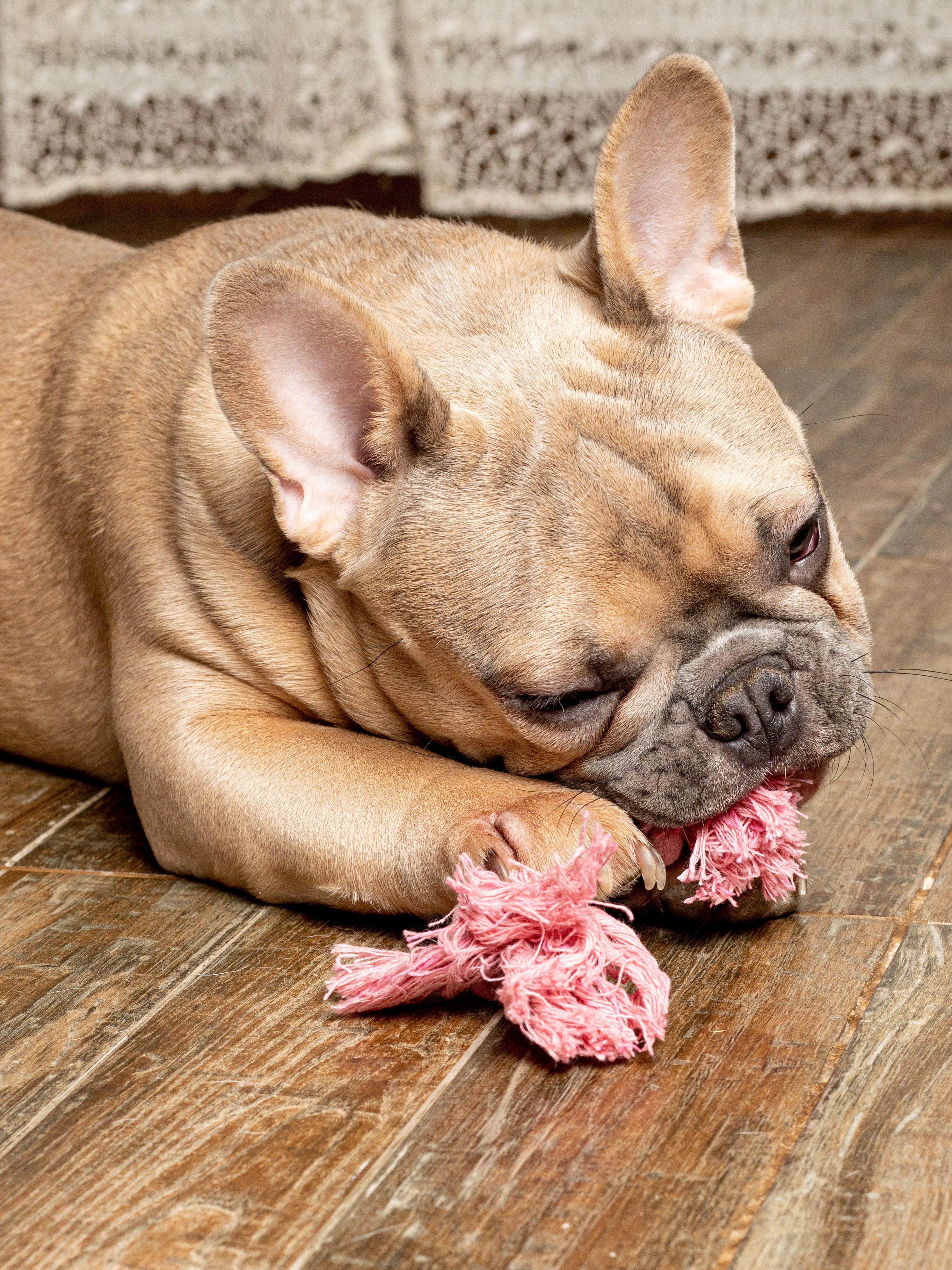 Produkt DTCT631127 Bild 15