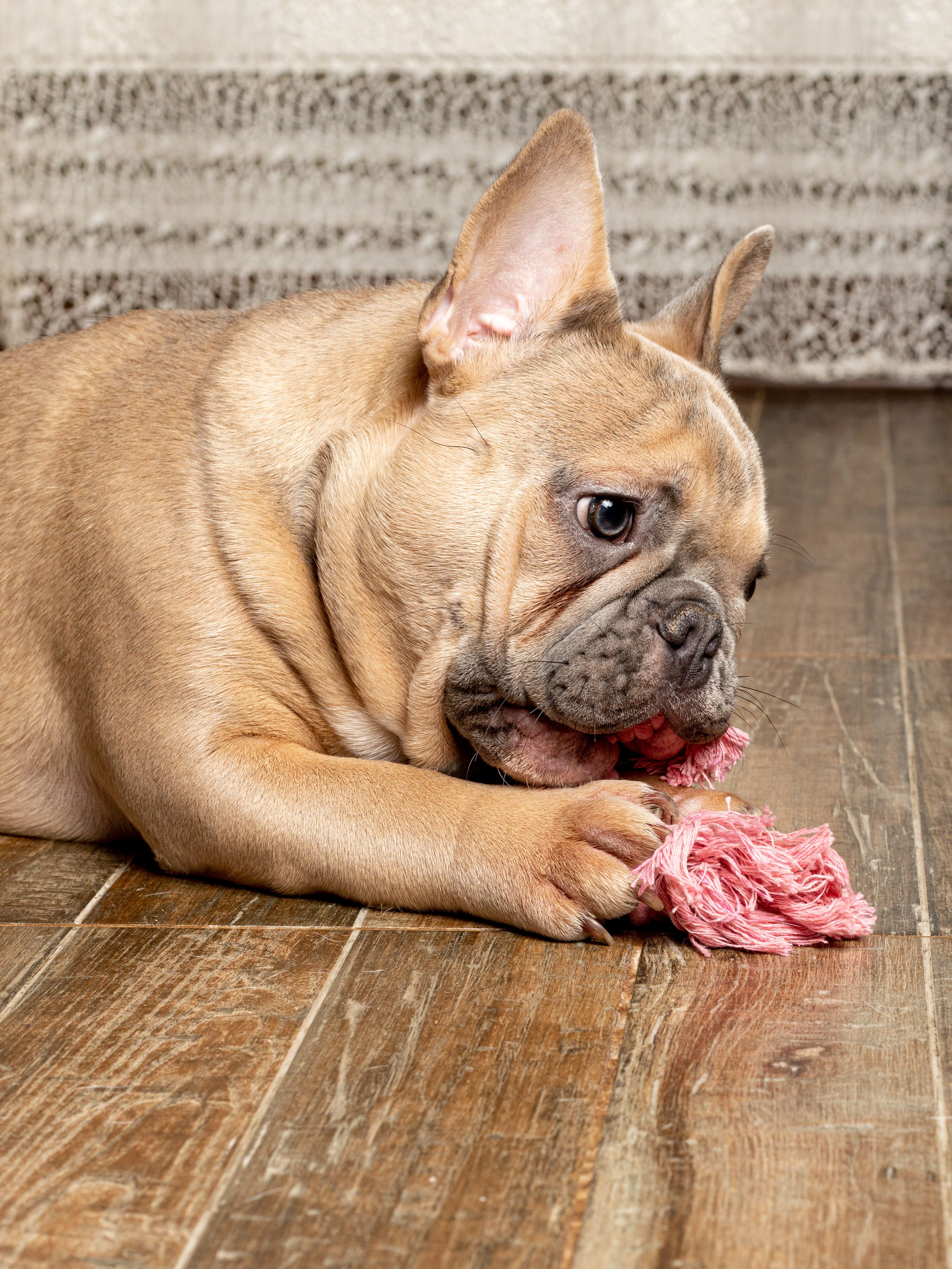 Produkt DTCT631127 Bild 16