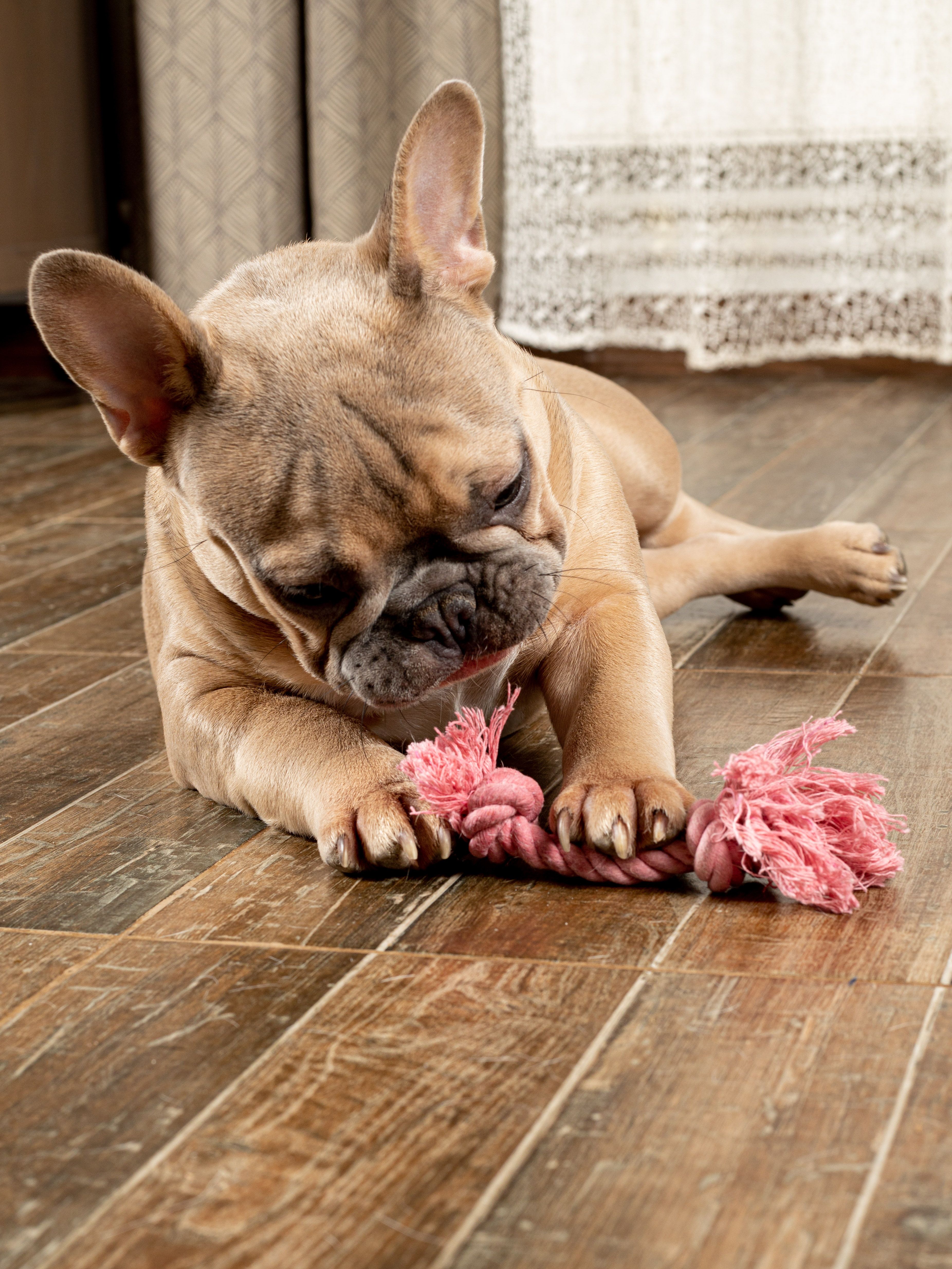 Produkt DTCT631127 Bild 18