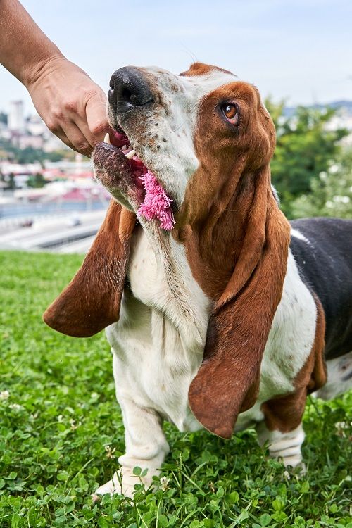 Produkt DTCT631127 Bild 19