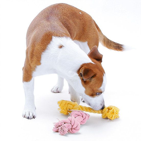 Produkt DTCT631127 Bild 2