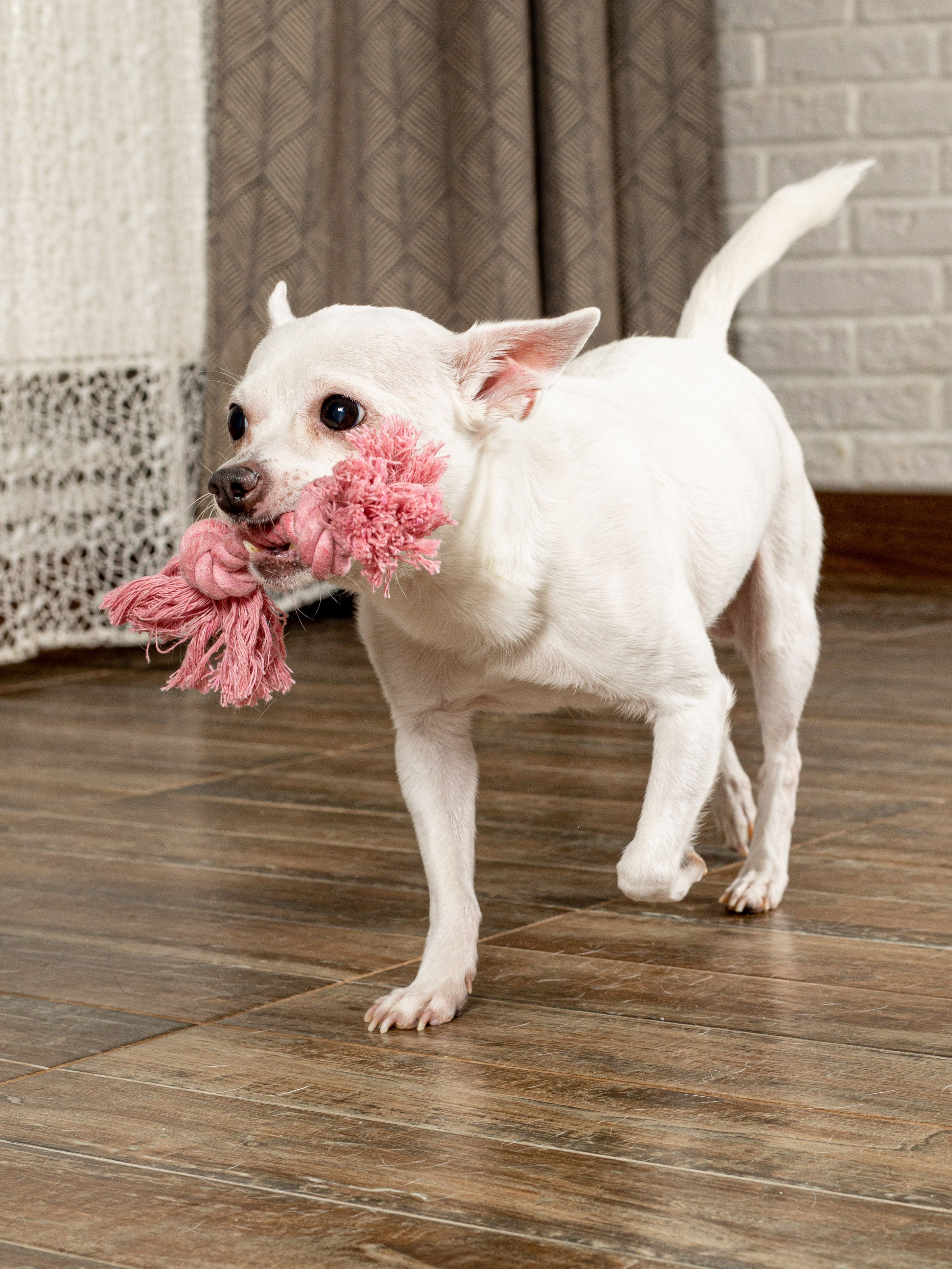 Produkt DTCT631127 Bild 21