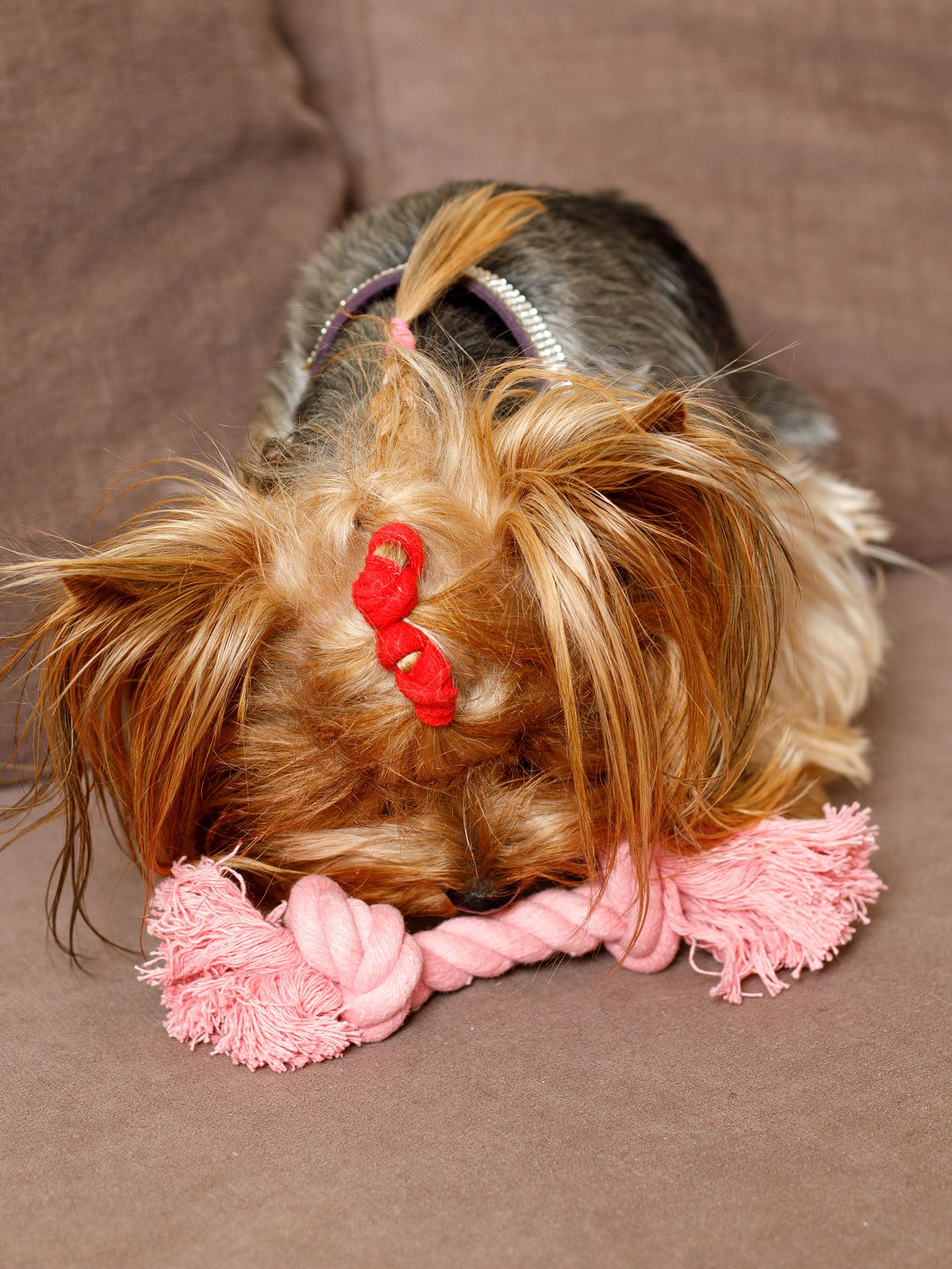 Produkt DTCT631127 Bild 3