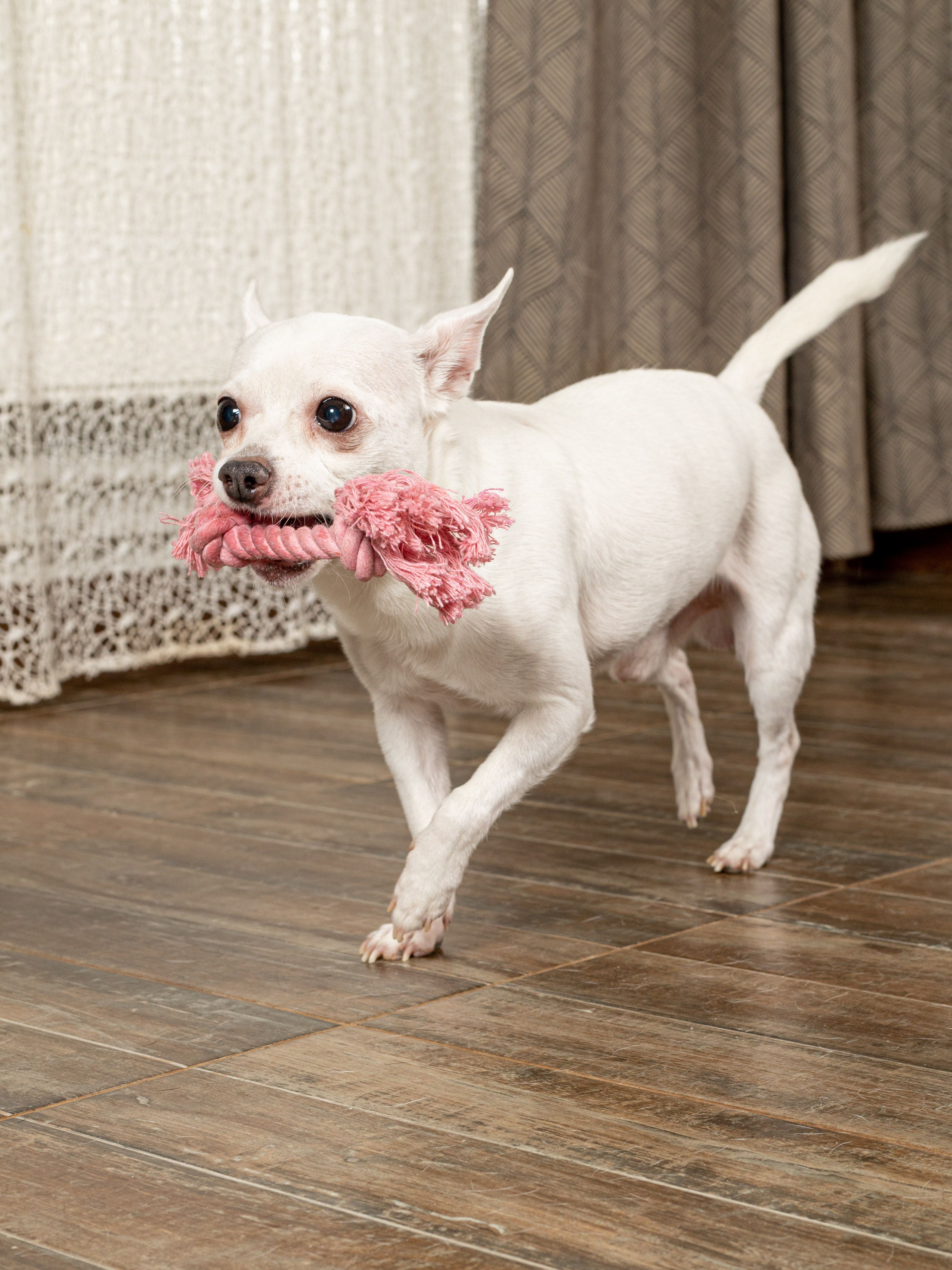 Produkt DTCT631127 Bild 7