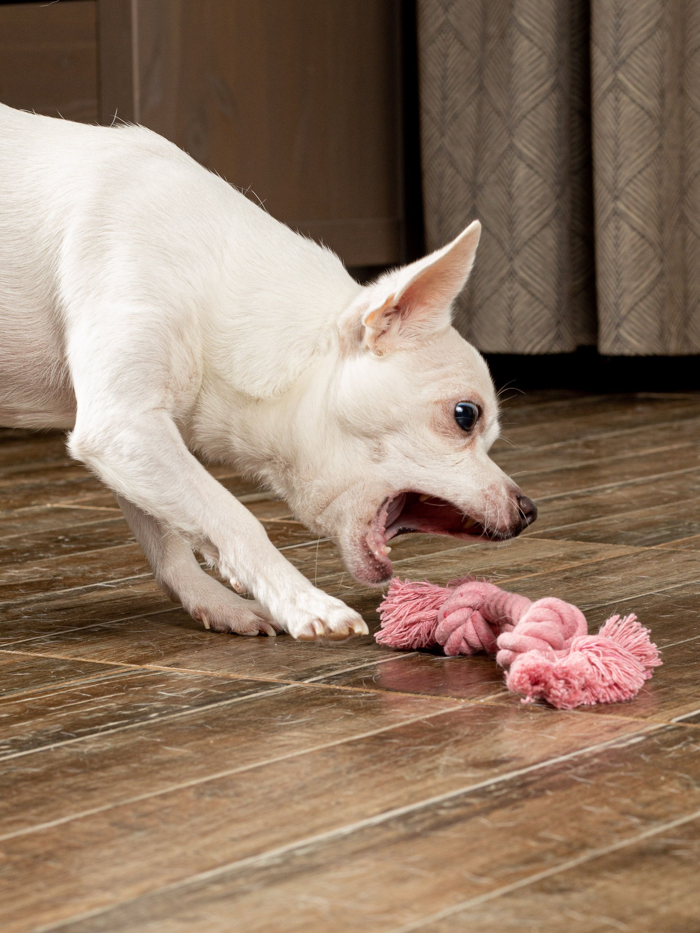 Produkt DTCT631127 Bild 9