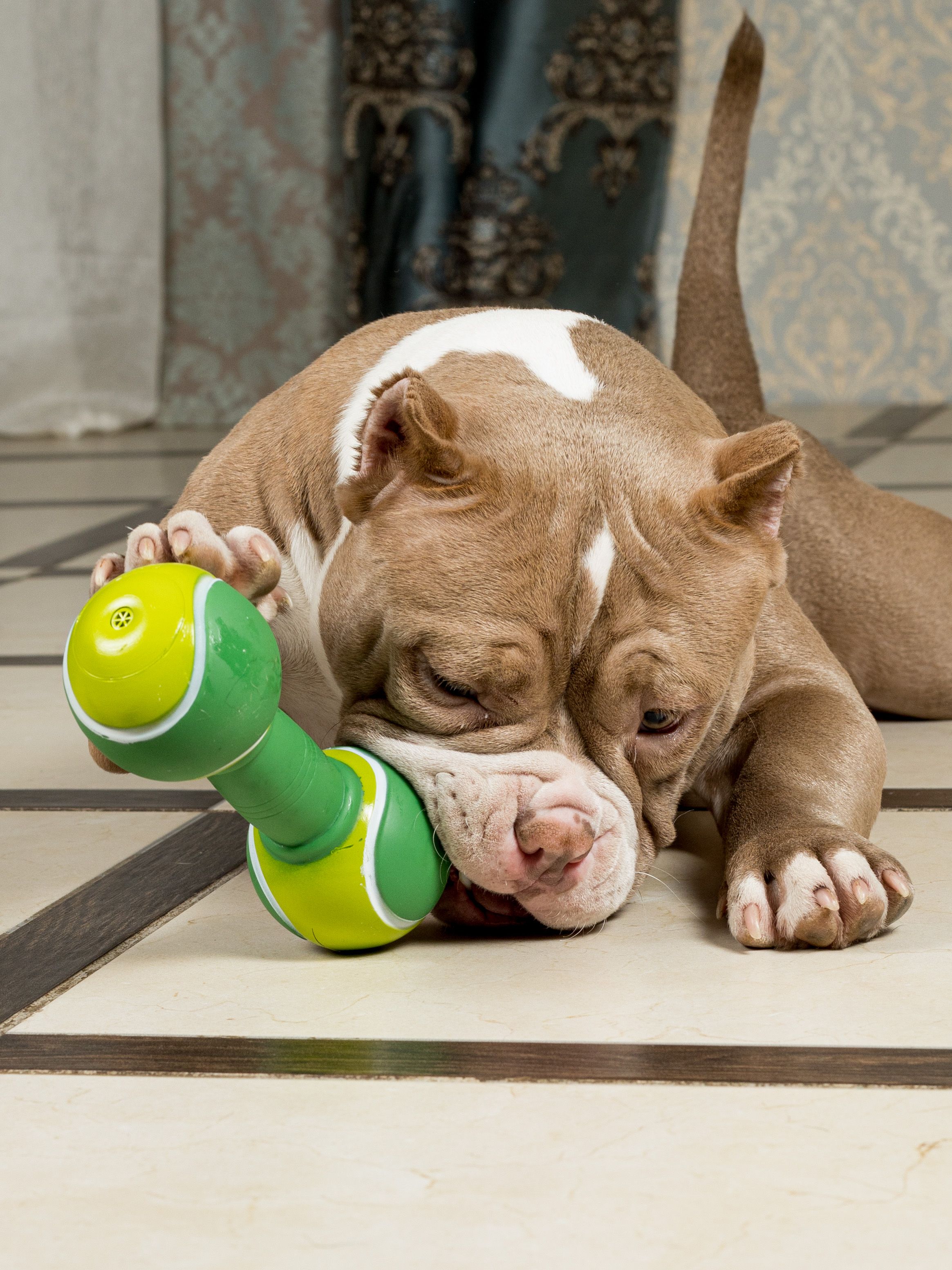 Produkt DTCT645452 Bild 10