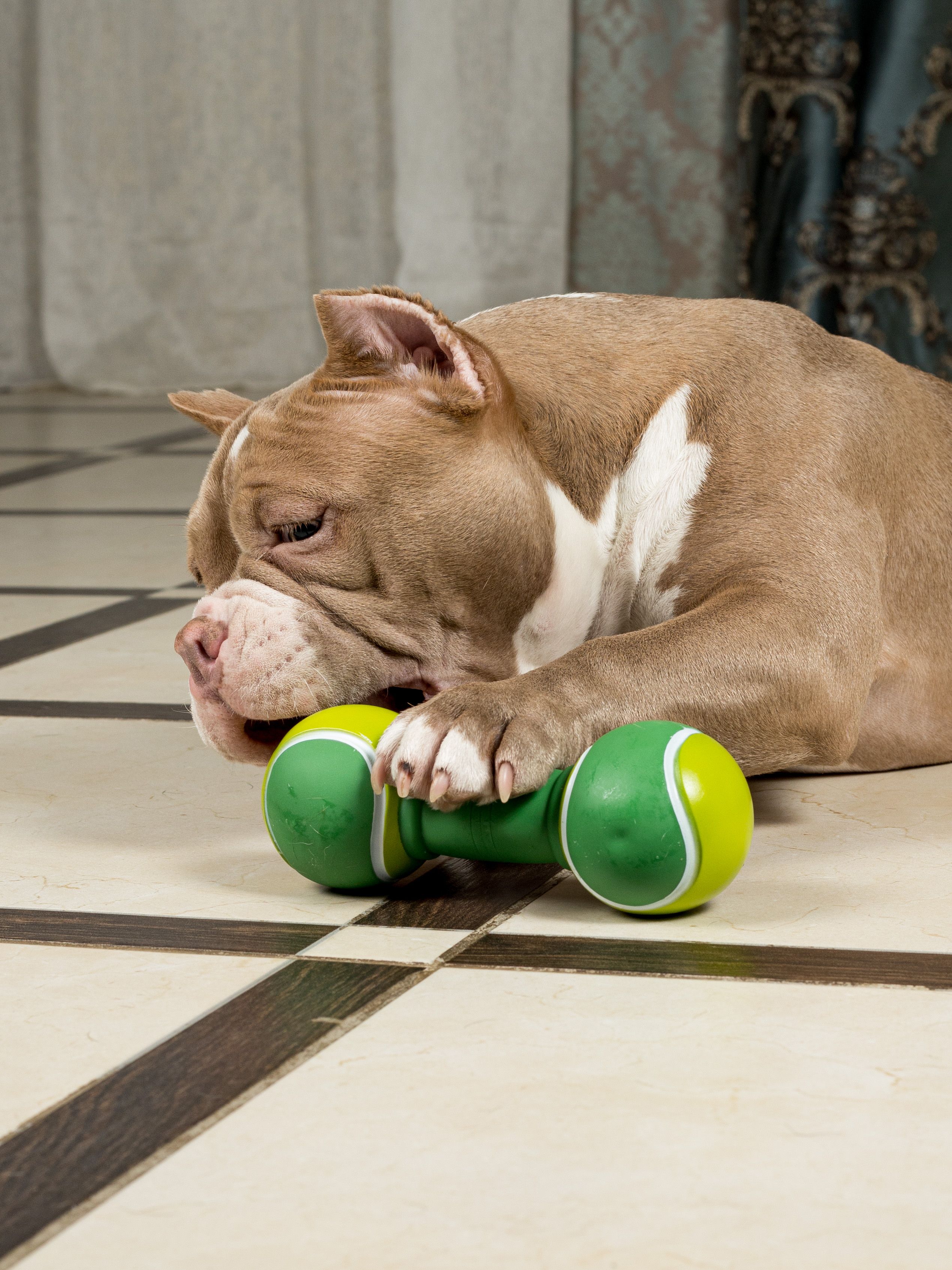 Produkt DTCT645452 Bild 11