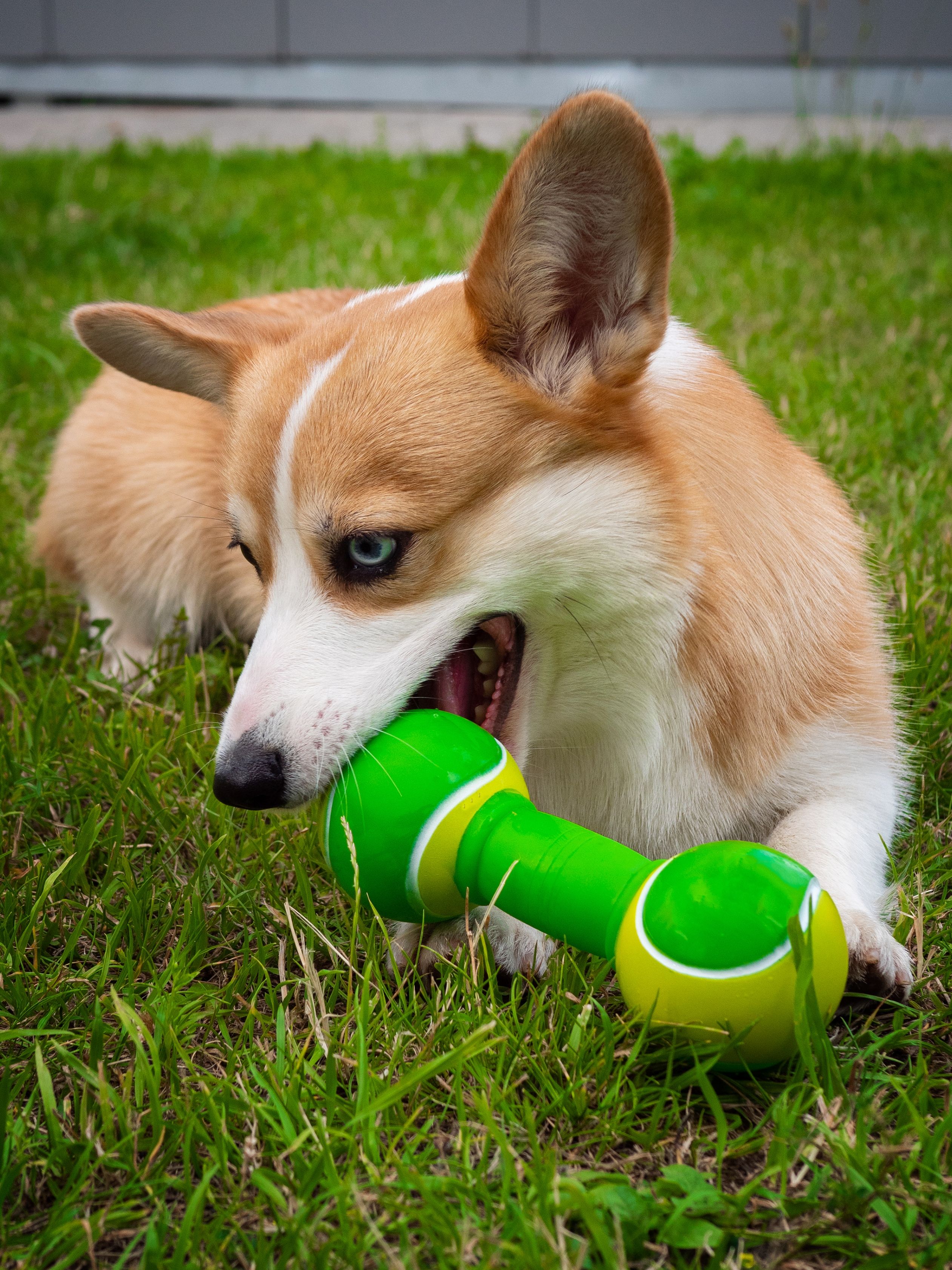 Produkt DTCT645452 Bild 2