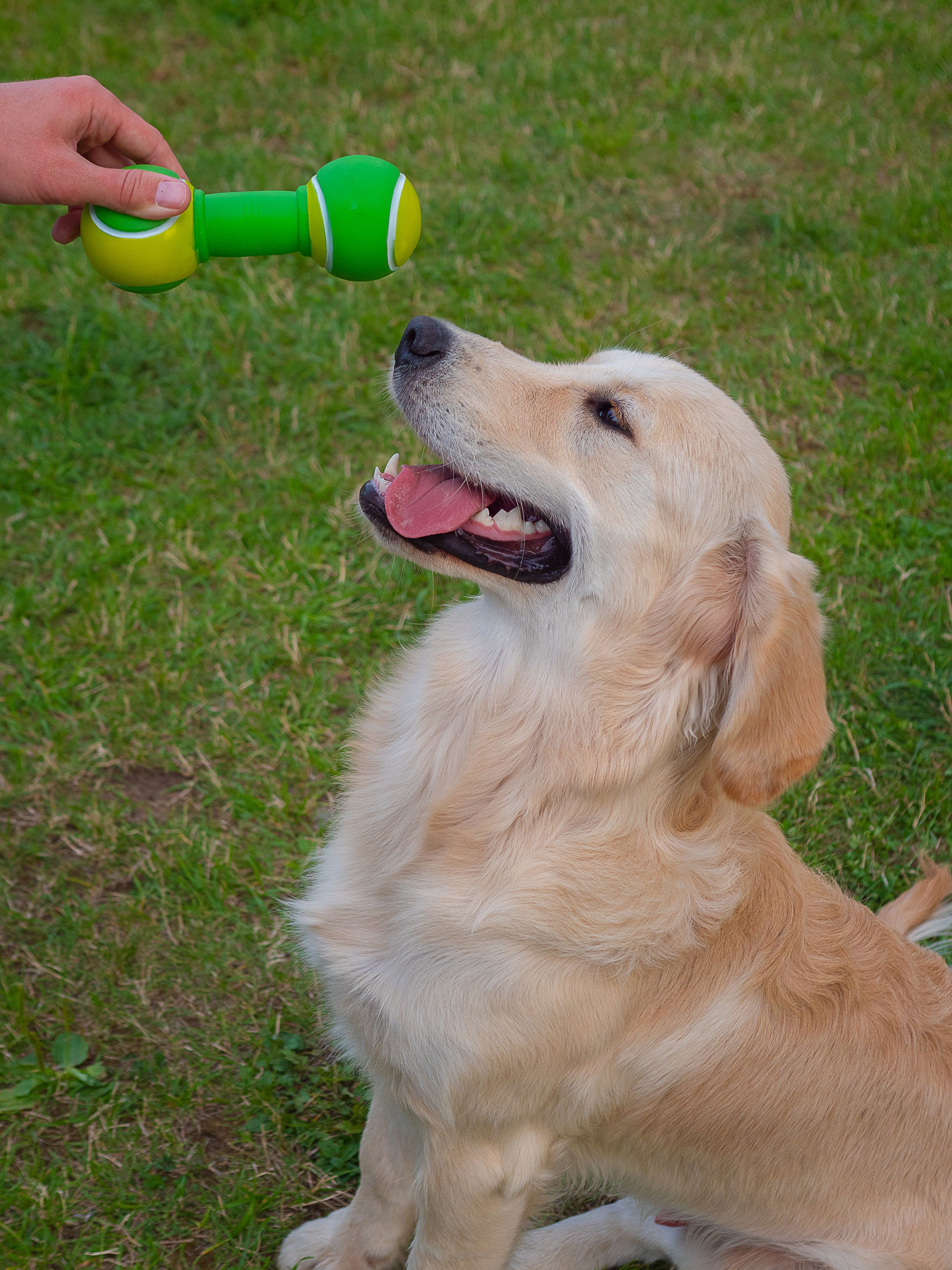 Produkt DTCT645452 Bild 3