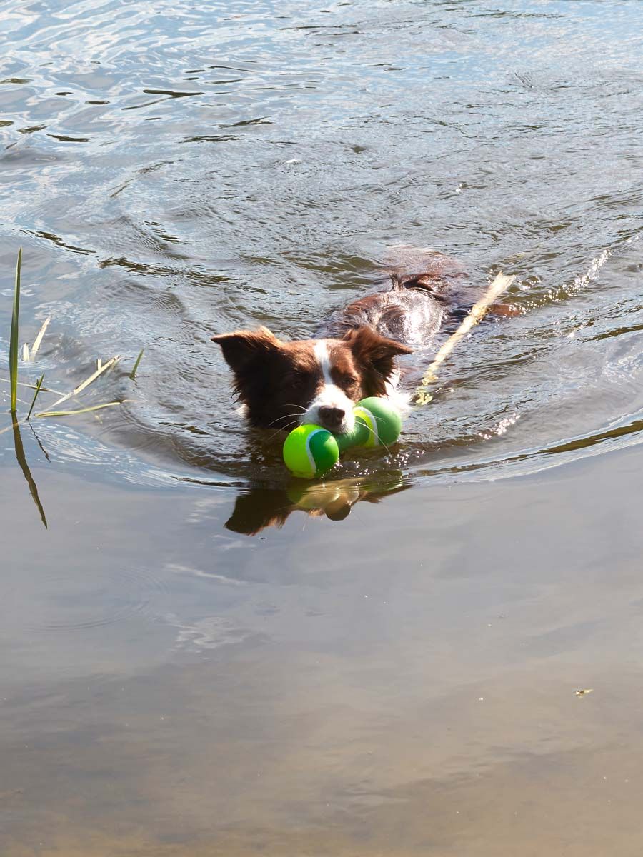 Produkt DTCT645452 Bild 4