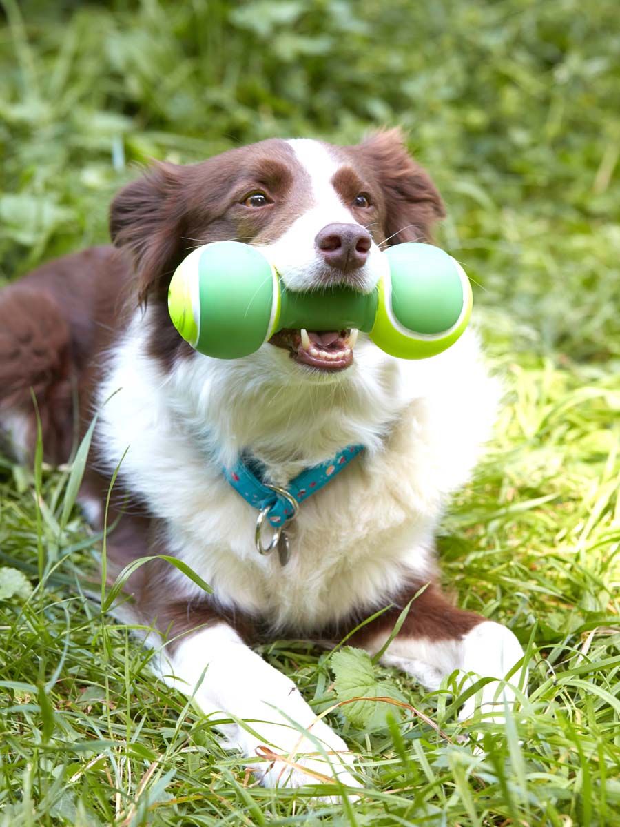 Produkt DTCT645452 Bild 5