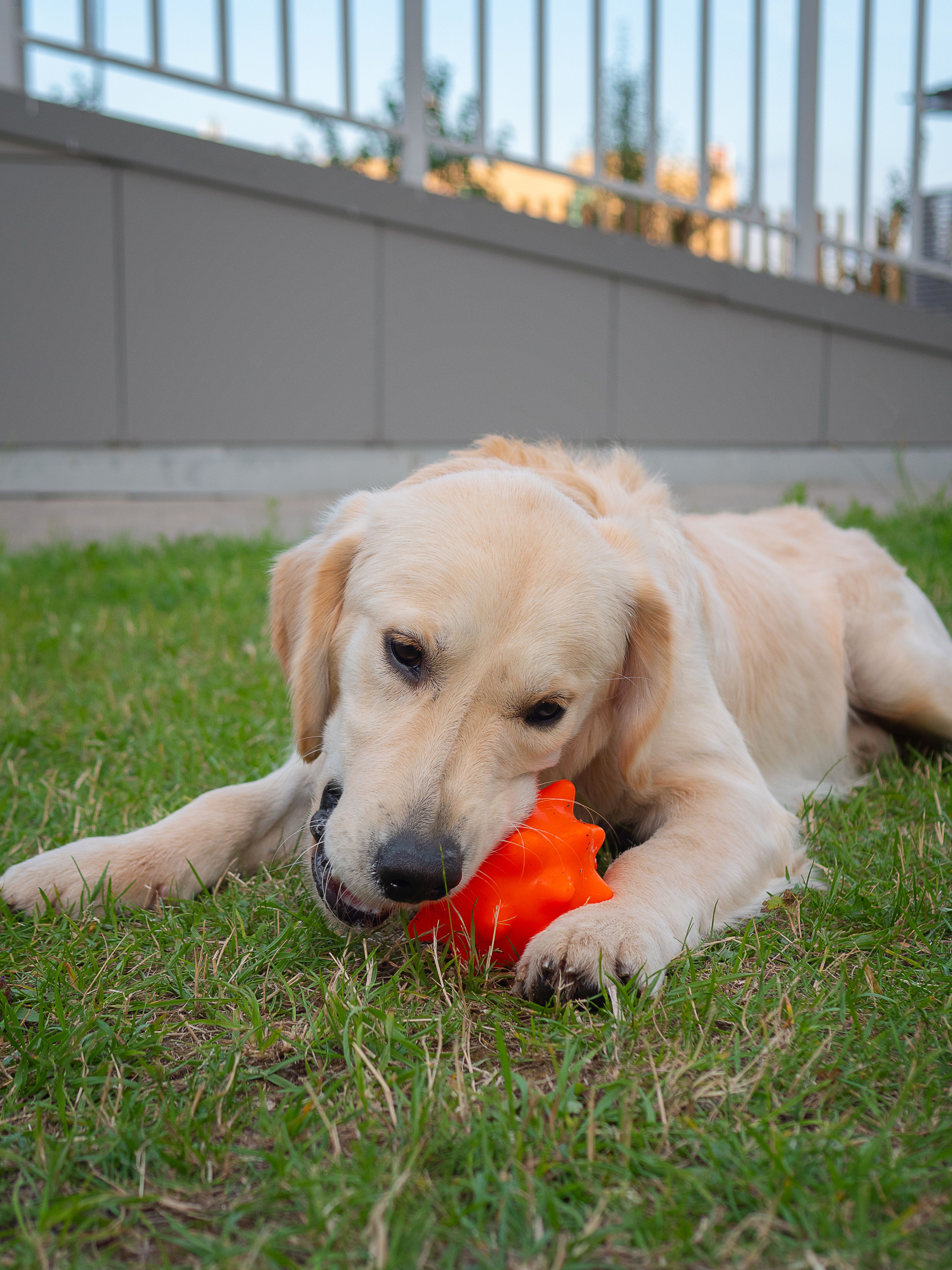 Produkt DTCT674551 Bild 3