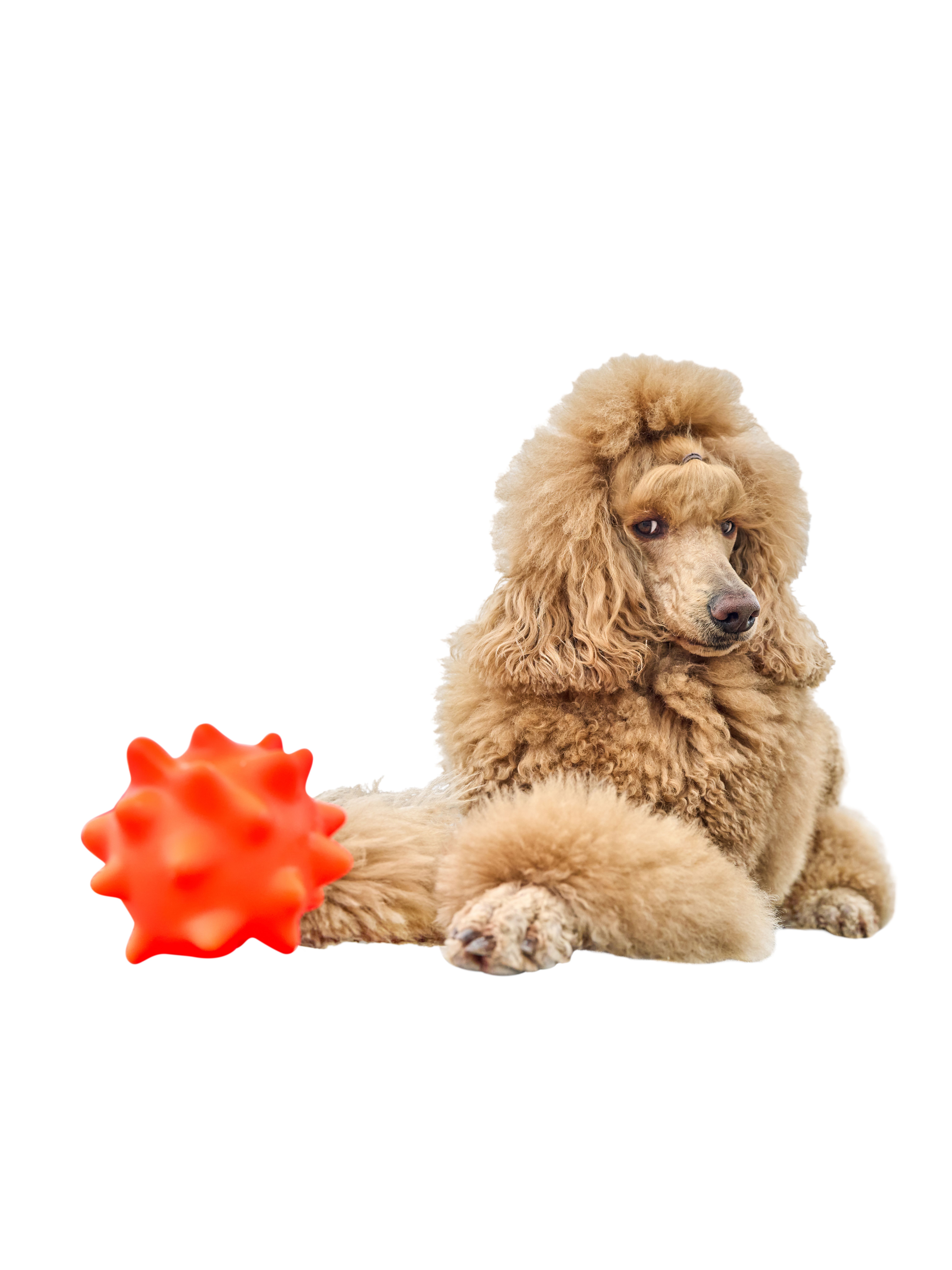 Produkt DTCT674551 Bild 5