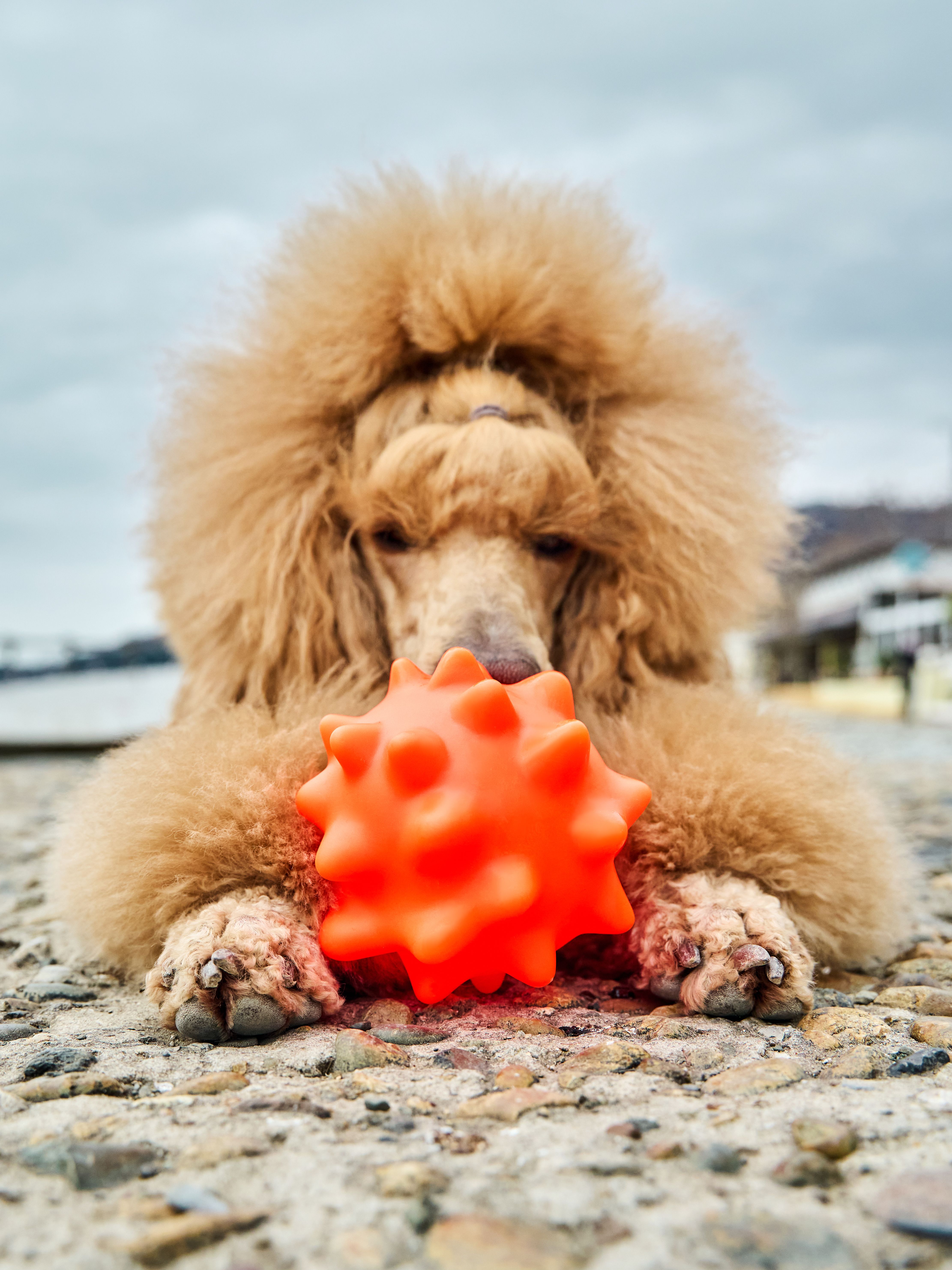 Produkt DTCT674551 Bild 6