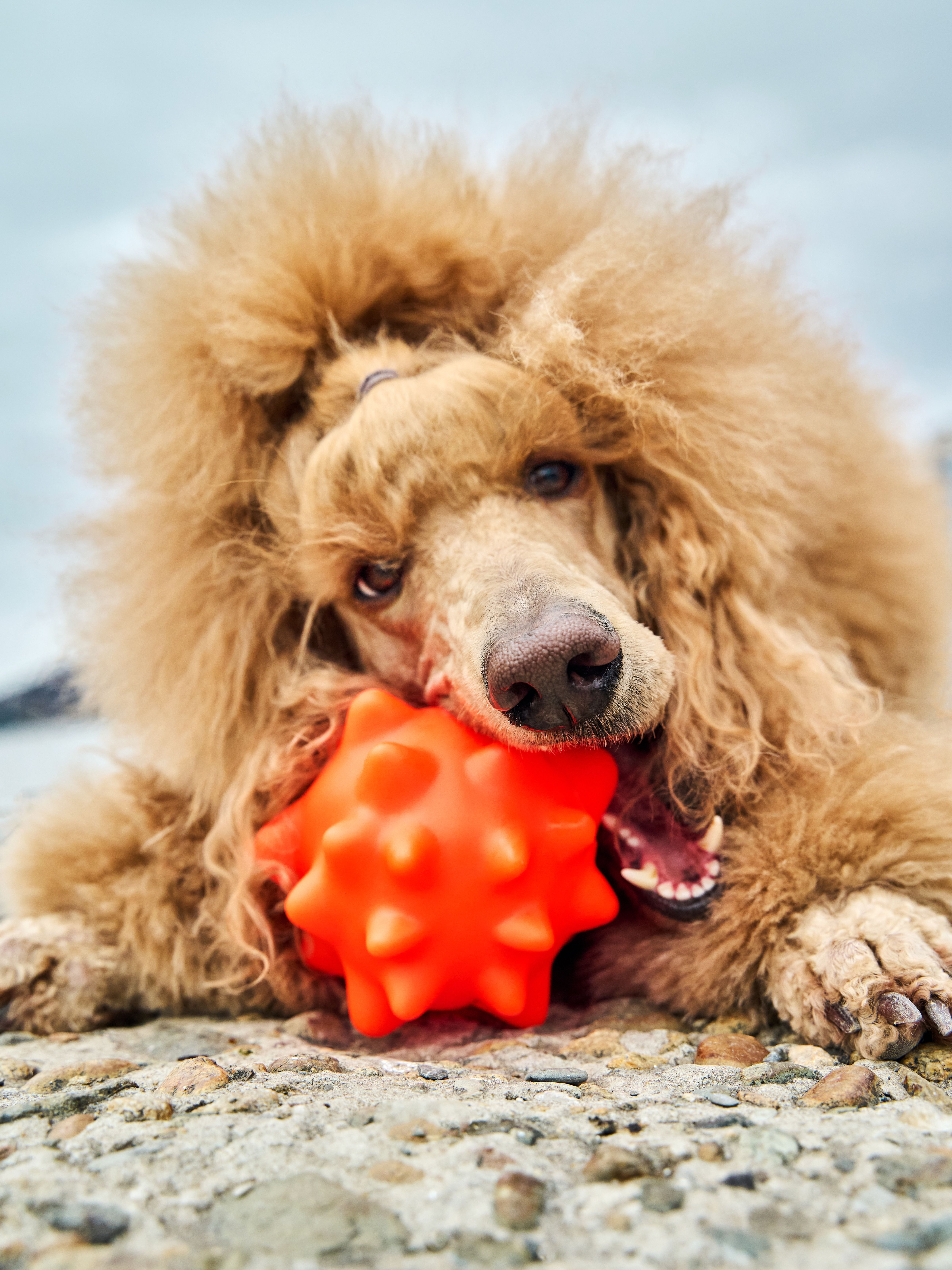 Produkt DTCT674551 Bild 7