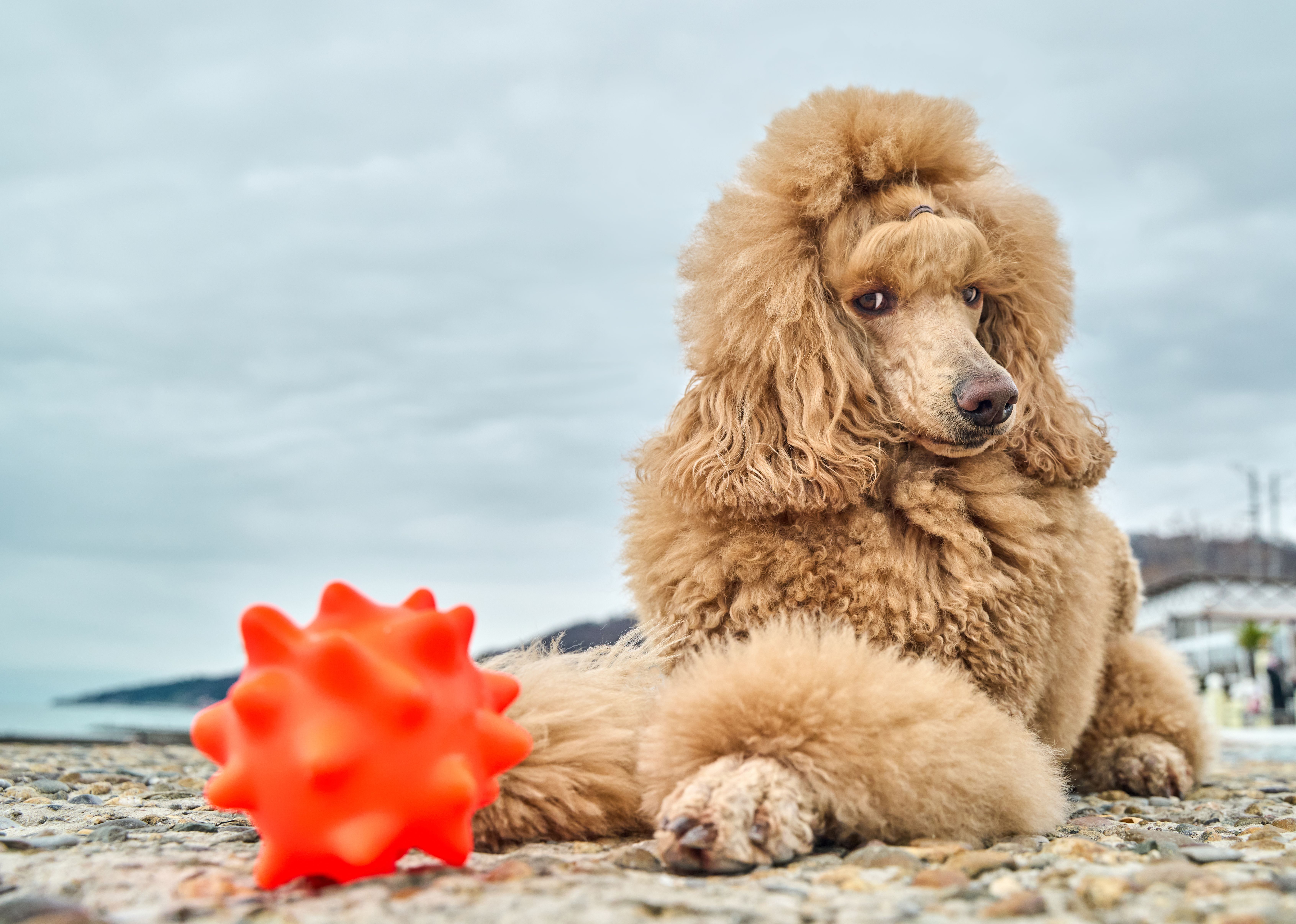 Produkt DTCT674551 Bild 8