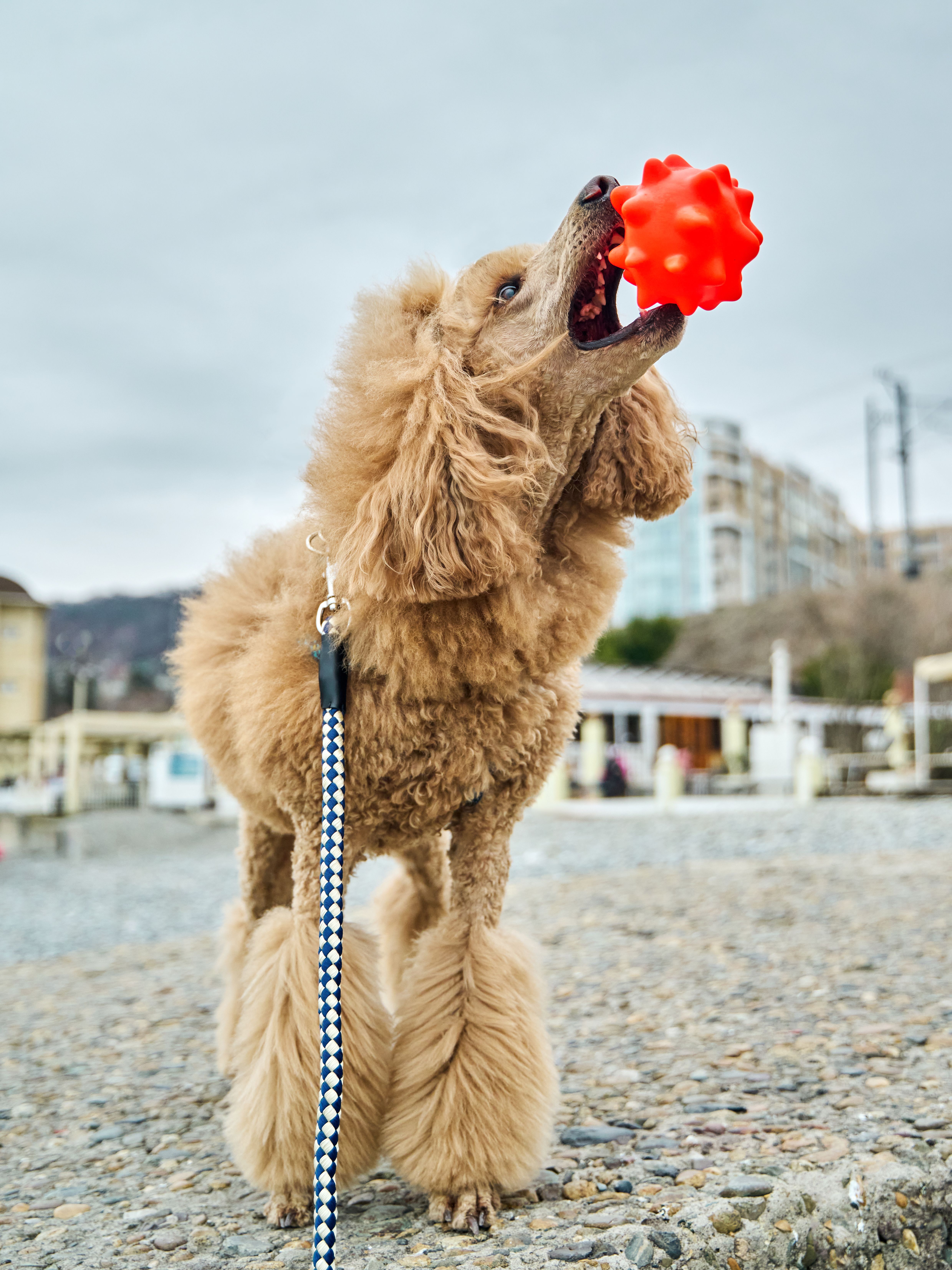 Produkt DTCT674551 Bild 9