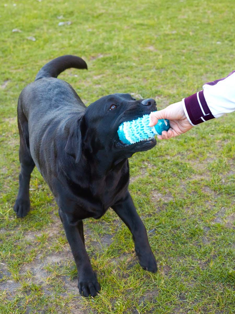 Produkt DTCT678818 Bild 3