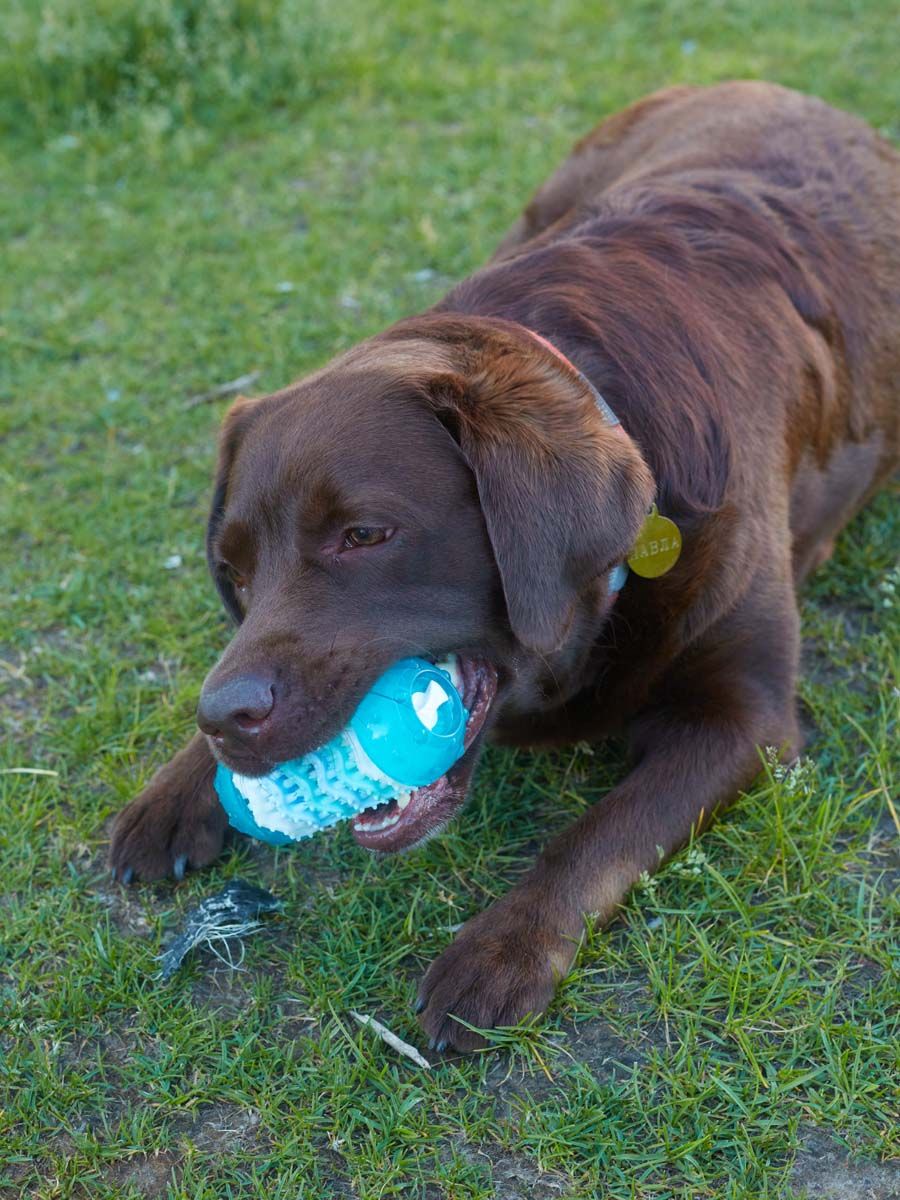 Produkt DTCT678818 Bild 4