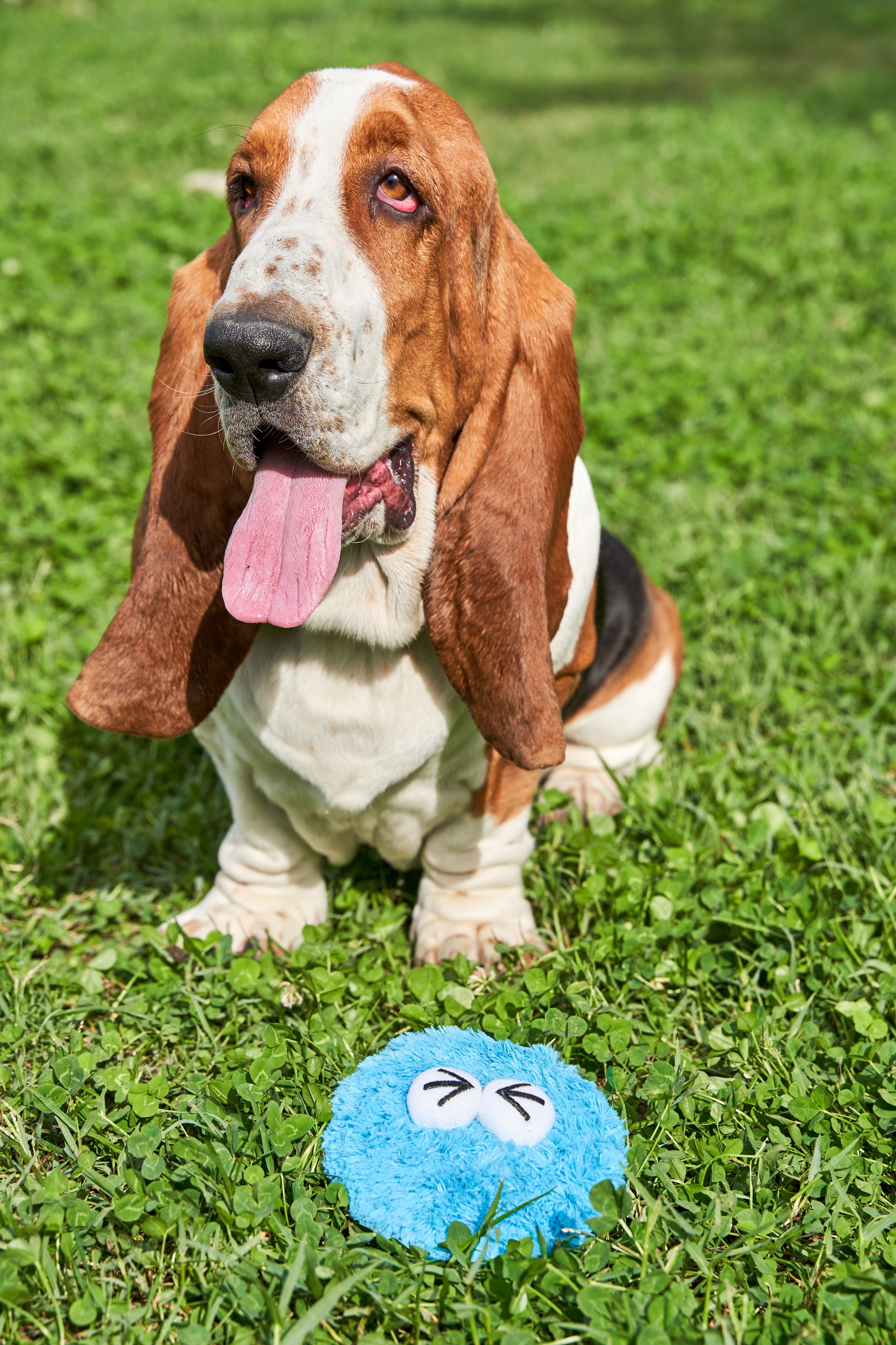 Product DTCT683065 photo 3