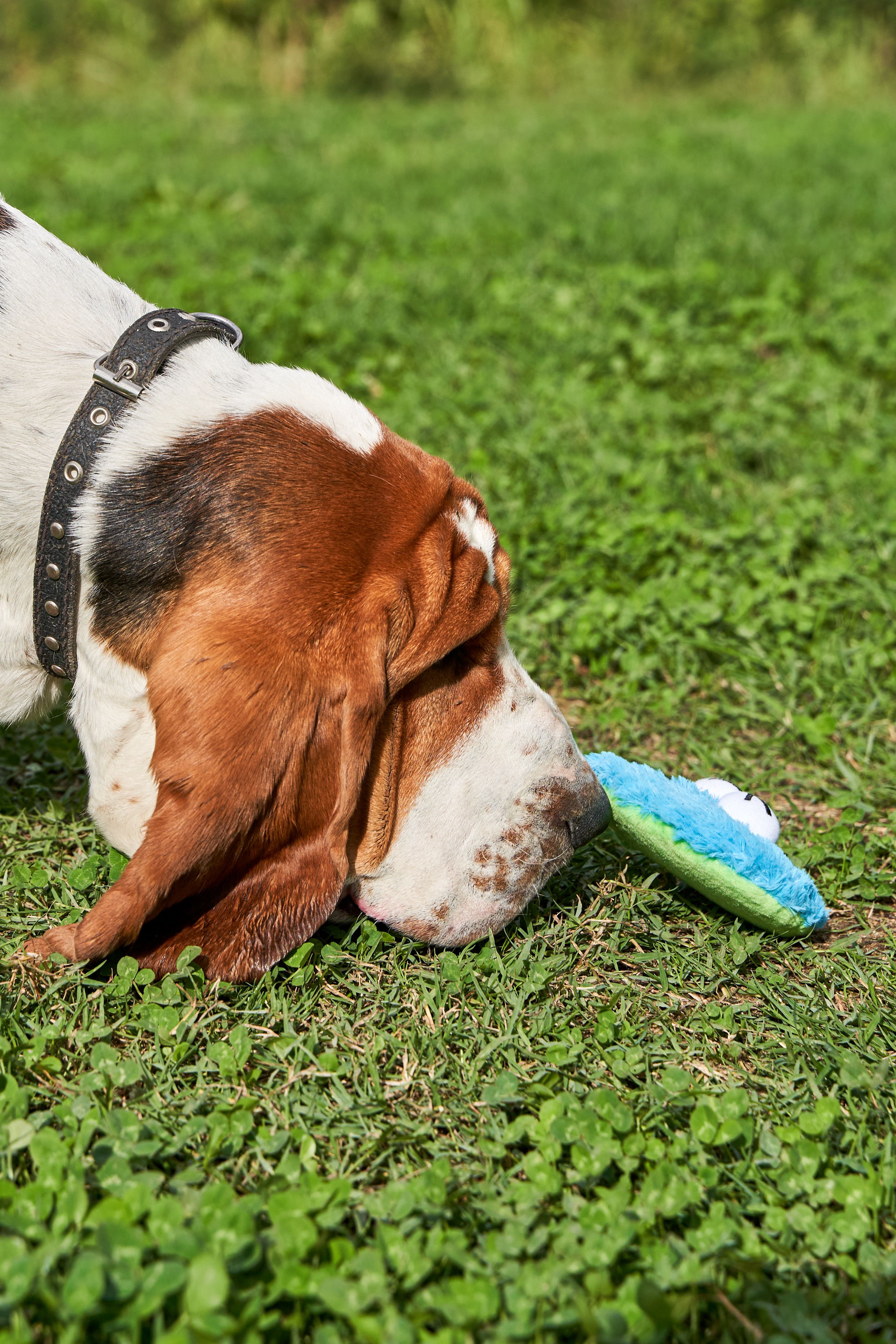 Product DTCT683065 photo 4