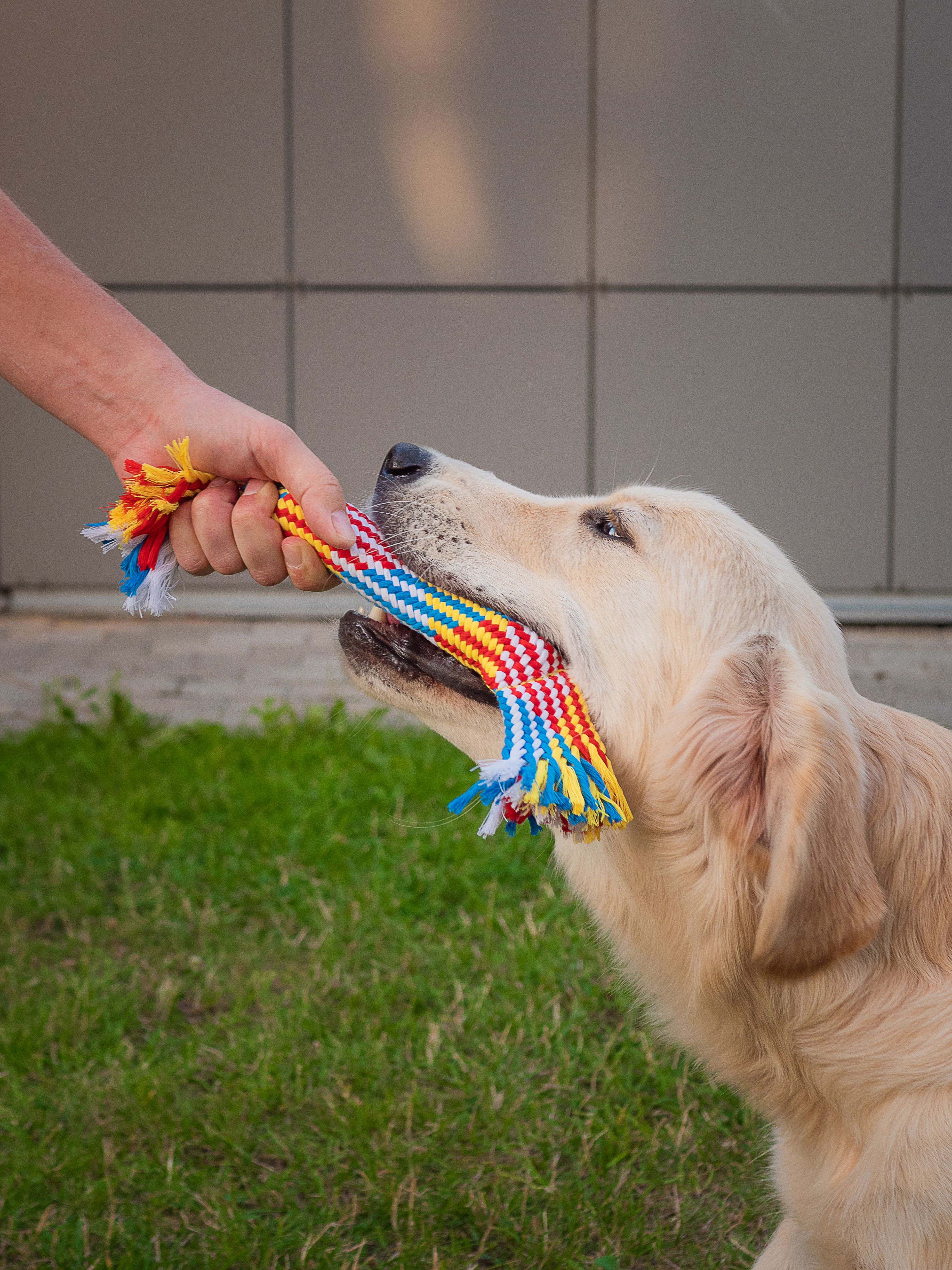 Product DTCT683812 photo 2