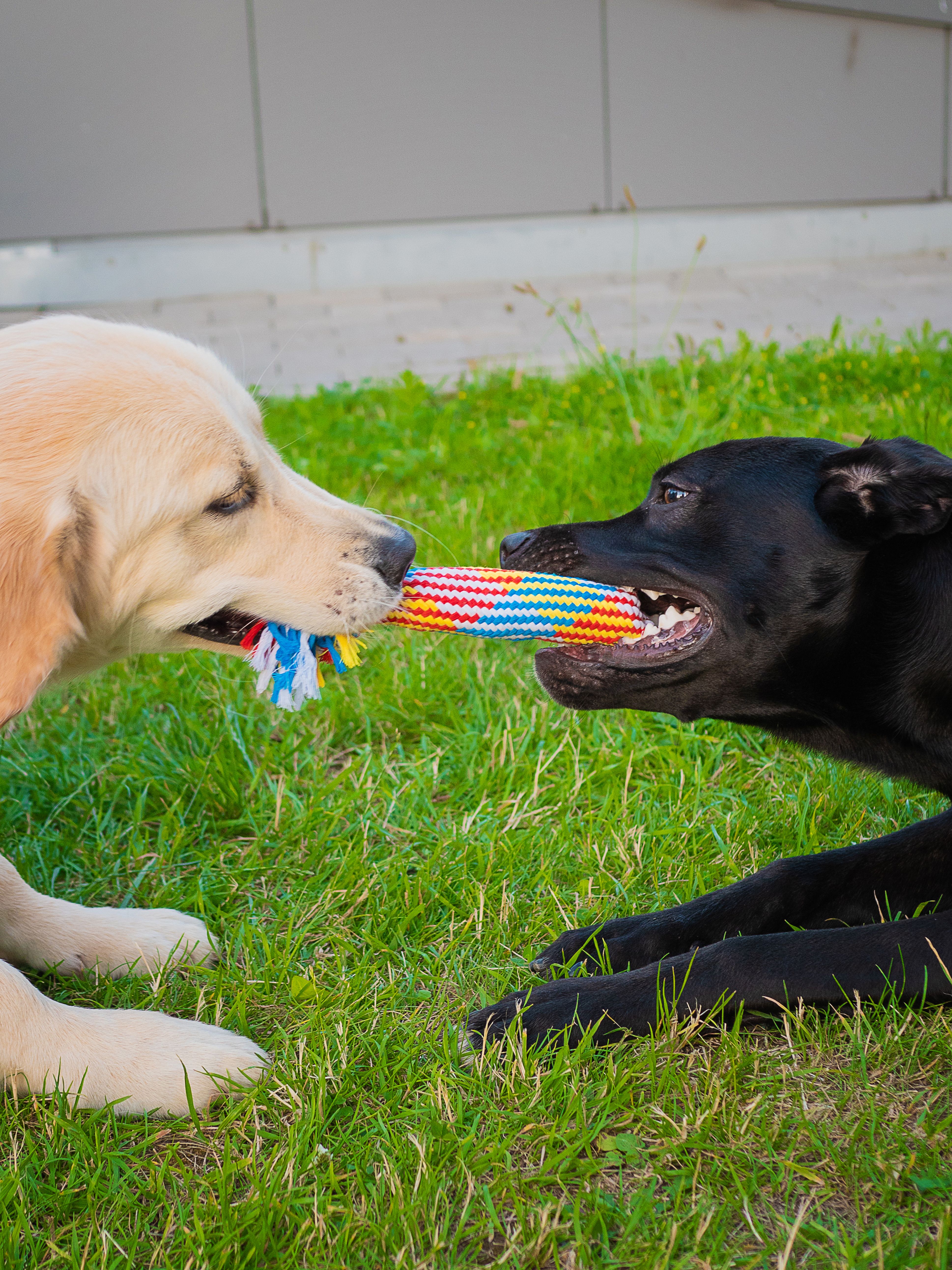 Product DTCT683812 photo 3