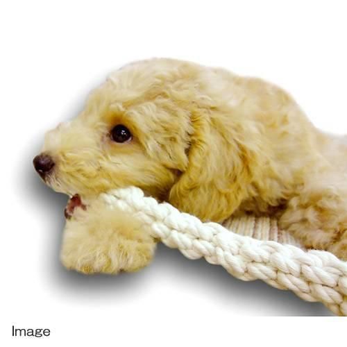 Product DTCT856569 photo 8