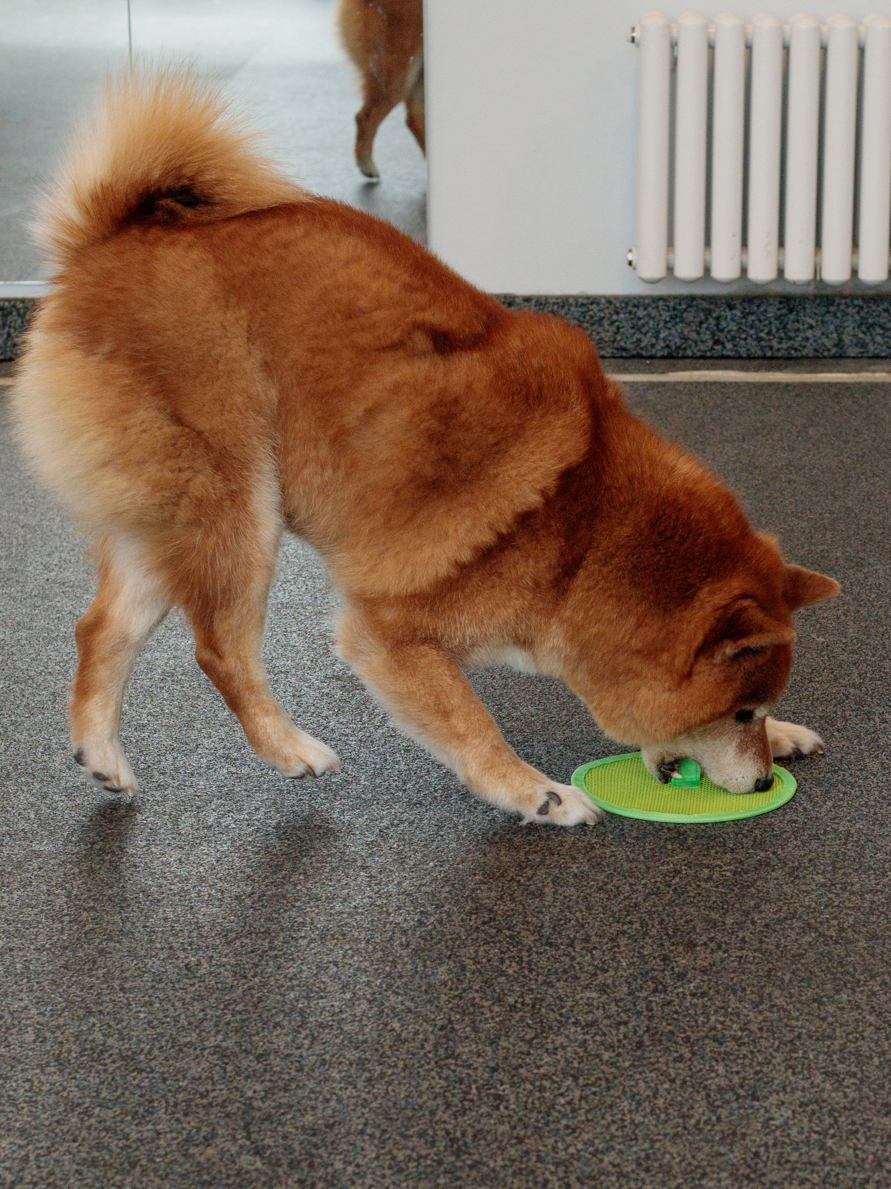 Product DTCT857016 photo 3