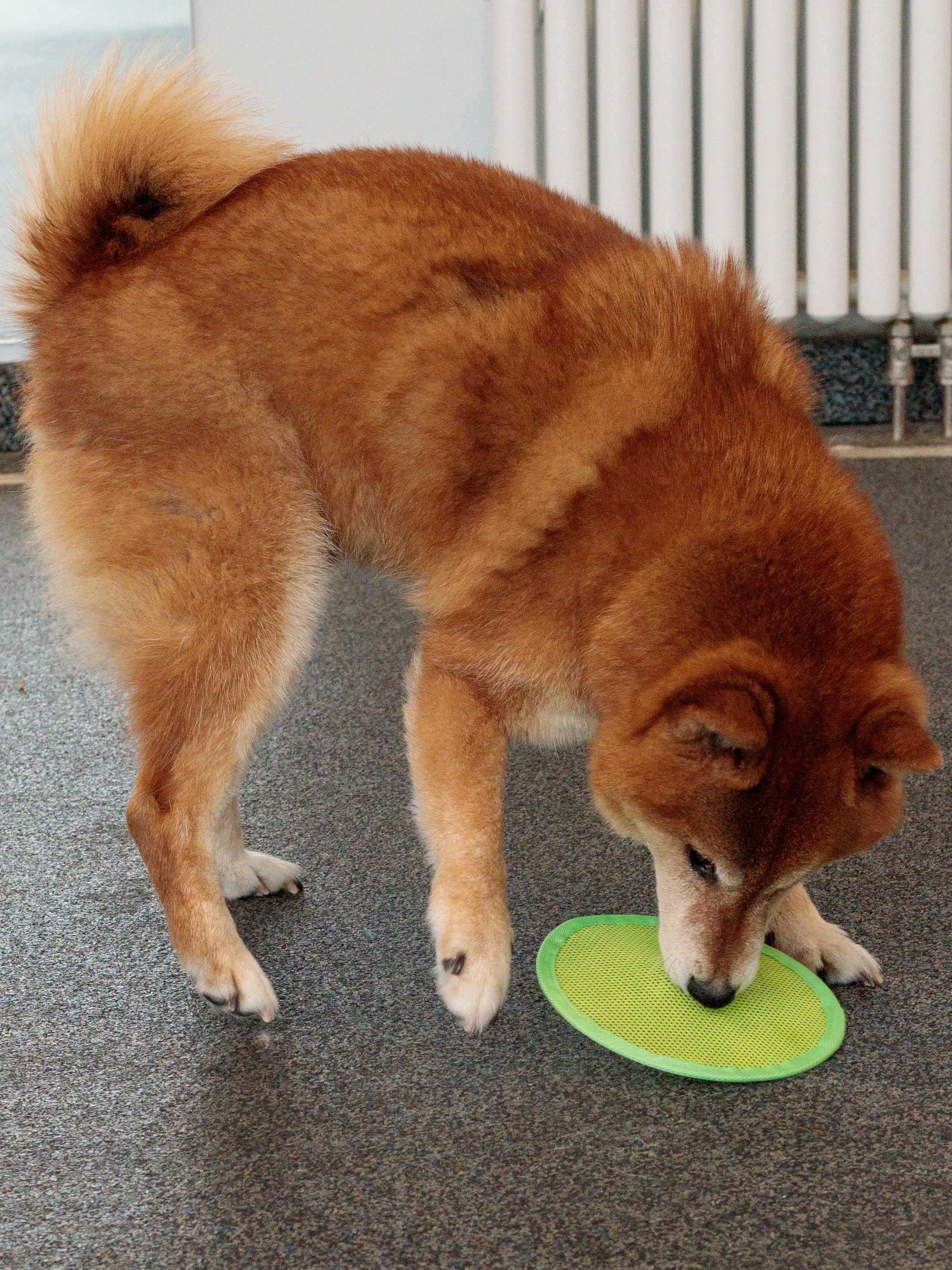 Product DTCT857016 photo 4