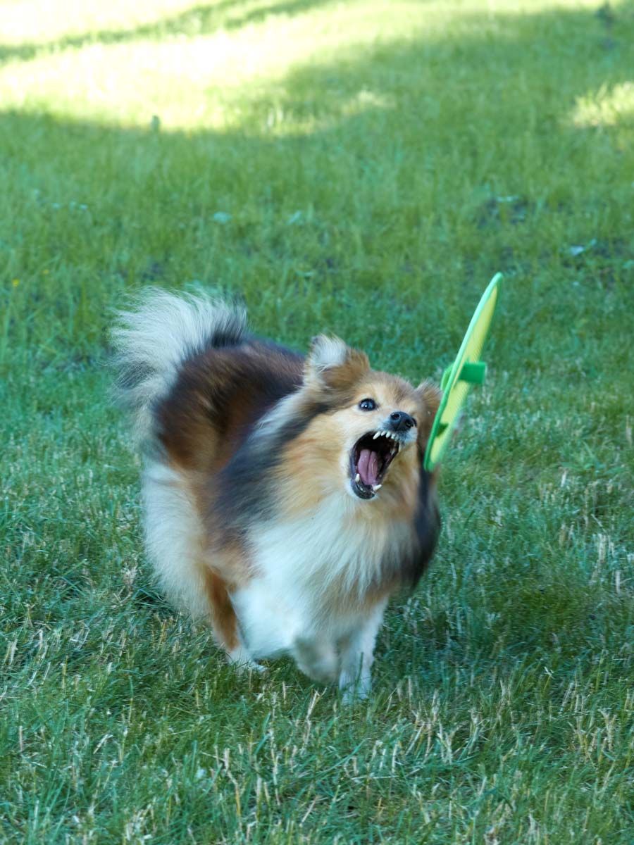 Product DTCT857016 photo 5