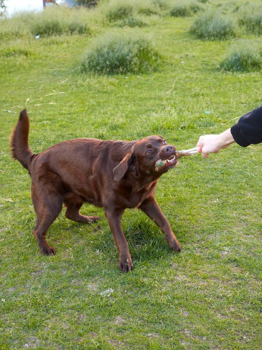 Produkt DTCT857177 Bild 3