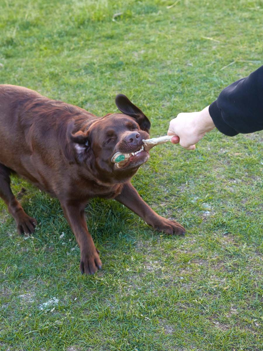 Produkt DTCT857177 Bild 4