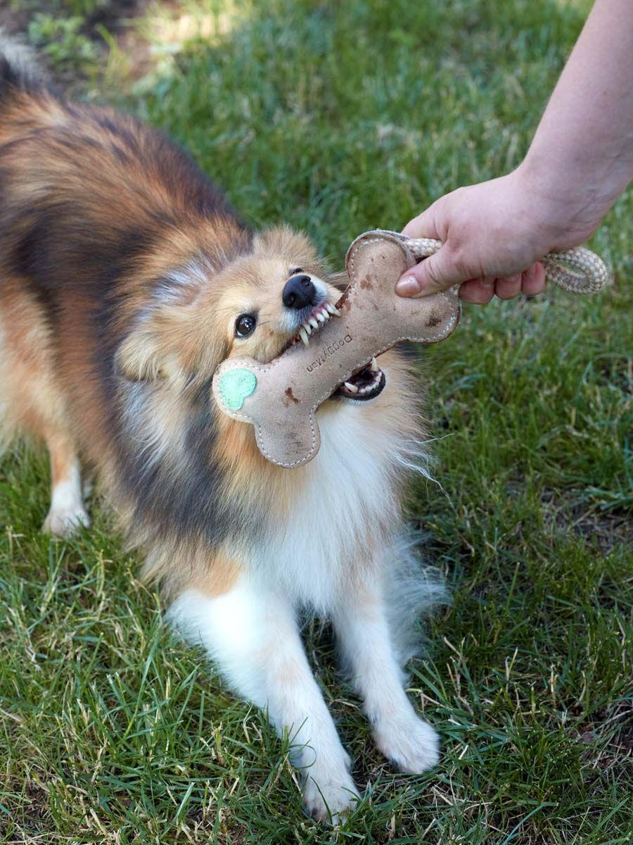 Produkt DTCT857177 Bild 6