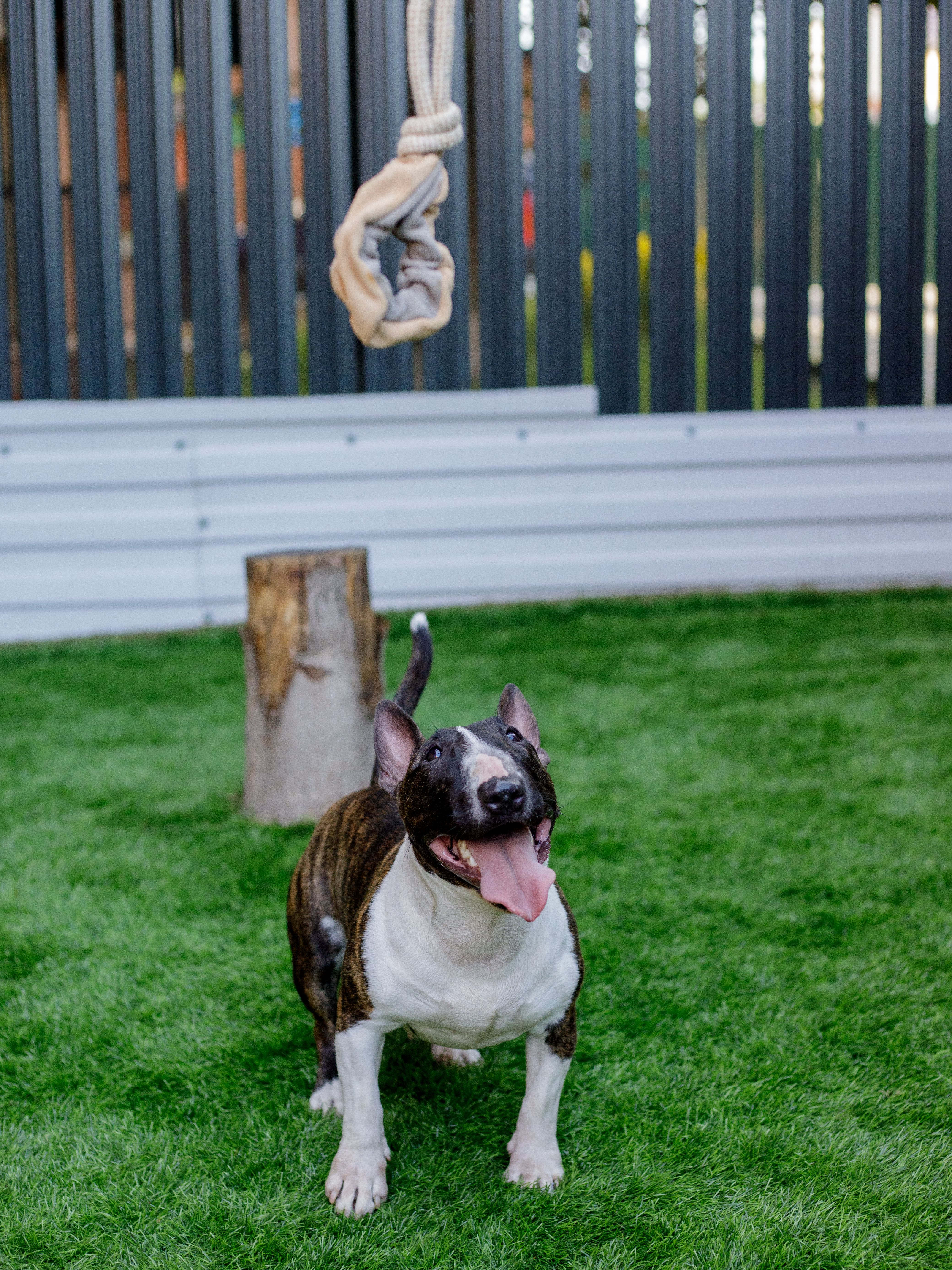 Produkt DTCT857184 Bild 2