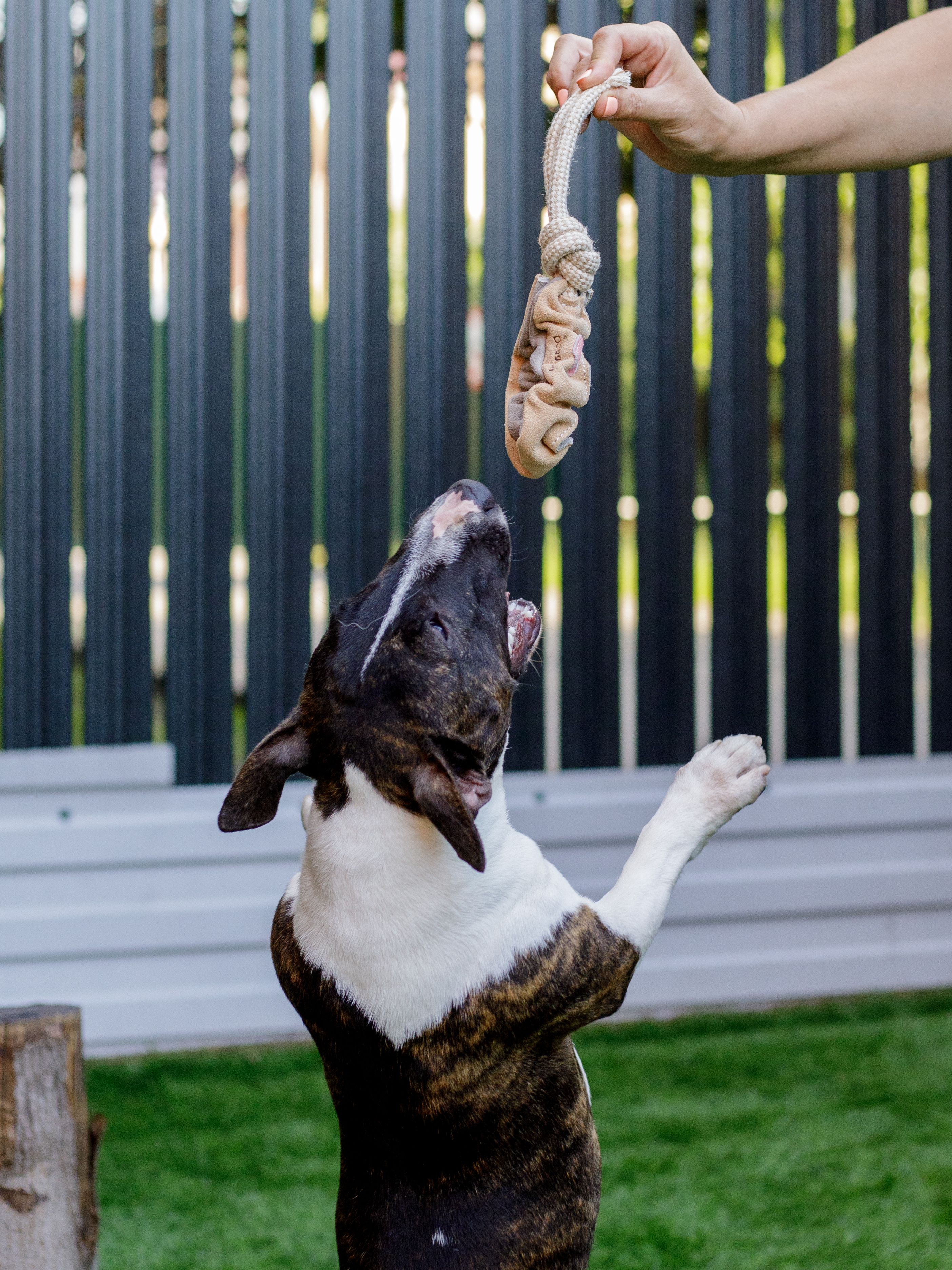 Produkt DTCT857184 Bild 3