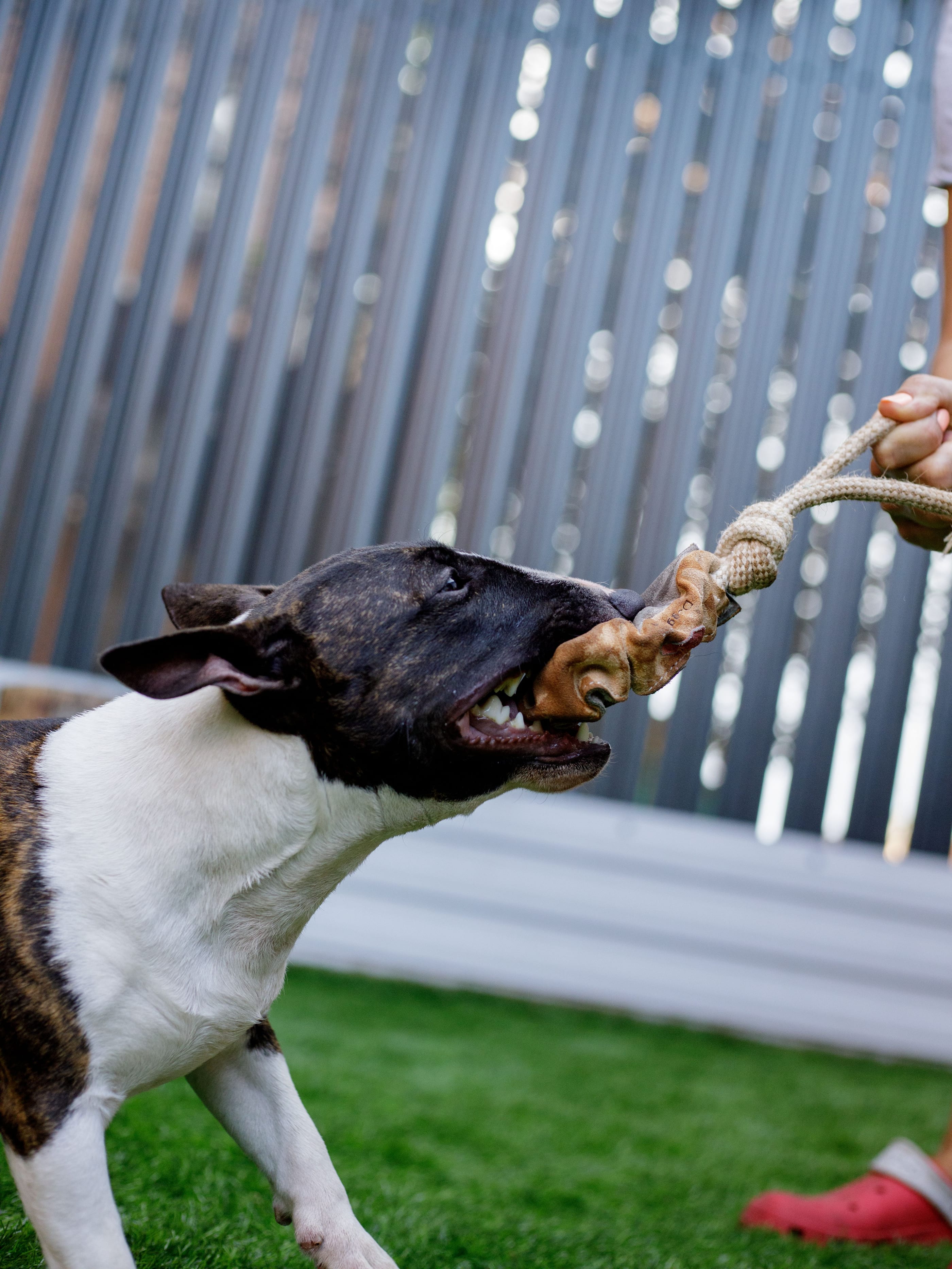 Produkt DTCT857184 Bild 4