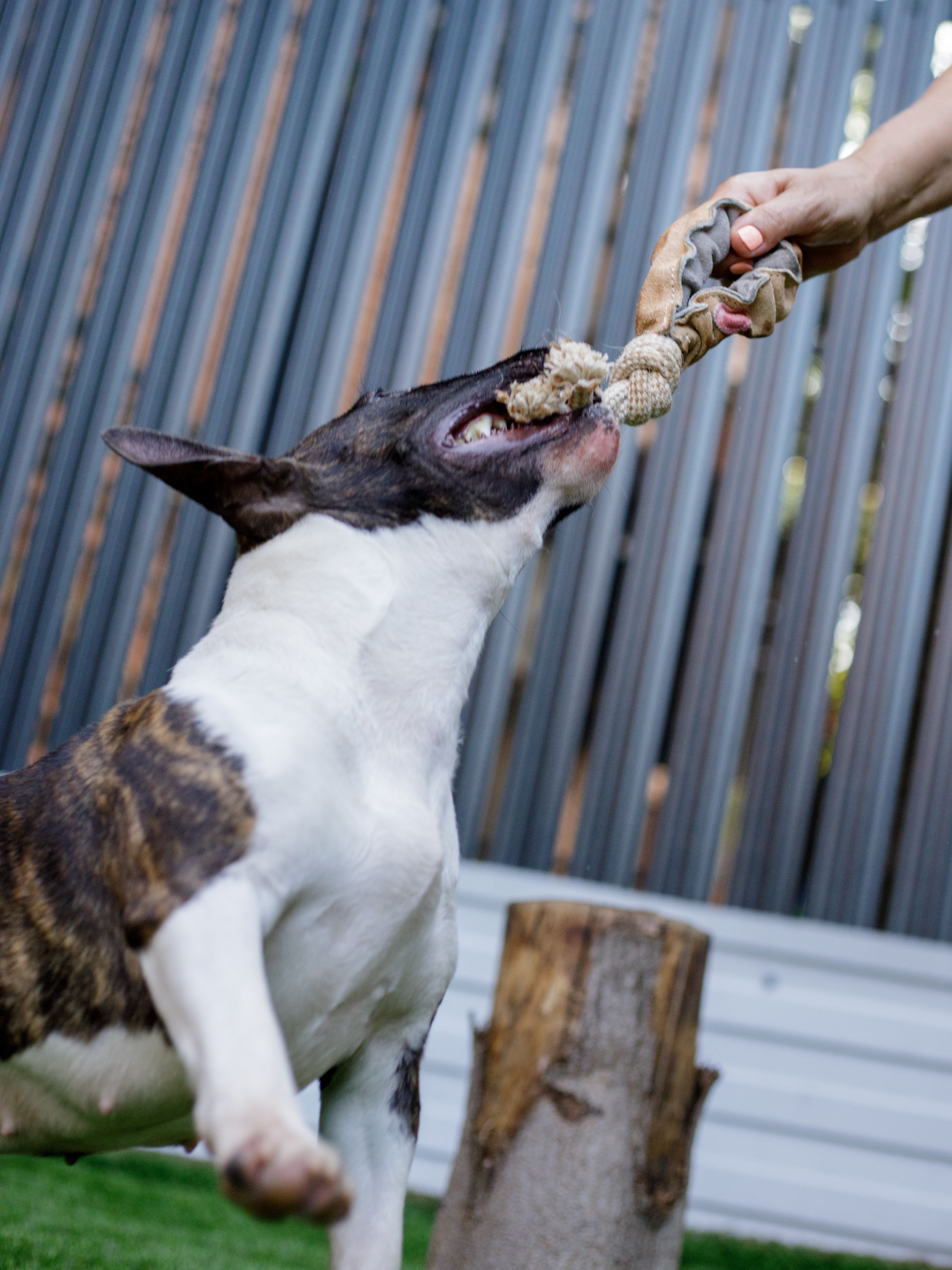 Produkt DTCT857184 Bild 5