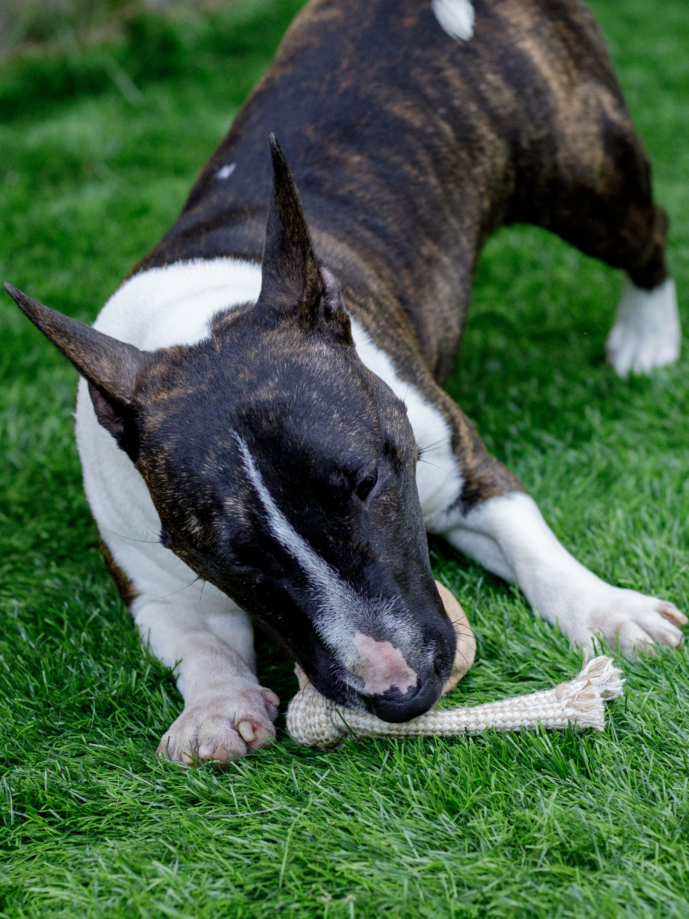 Produkt DTCT857184 Bild 6