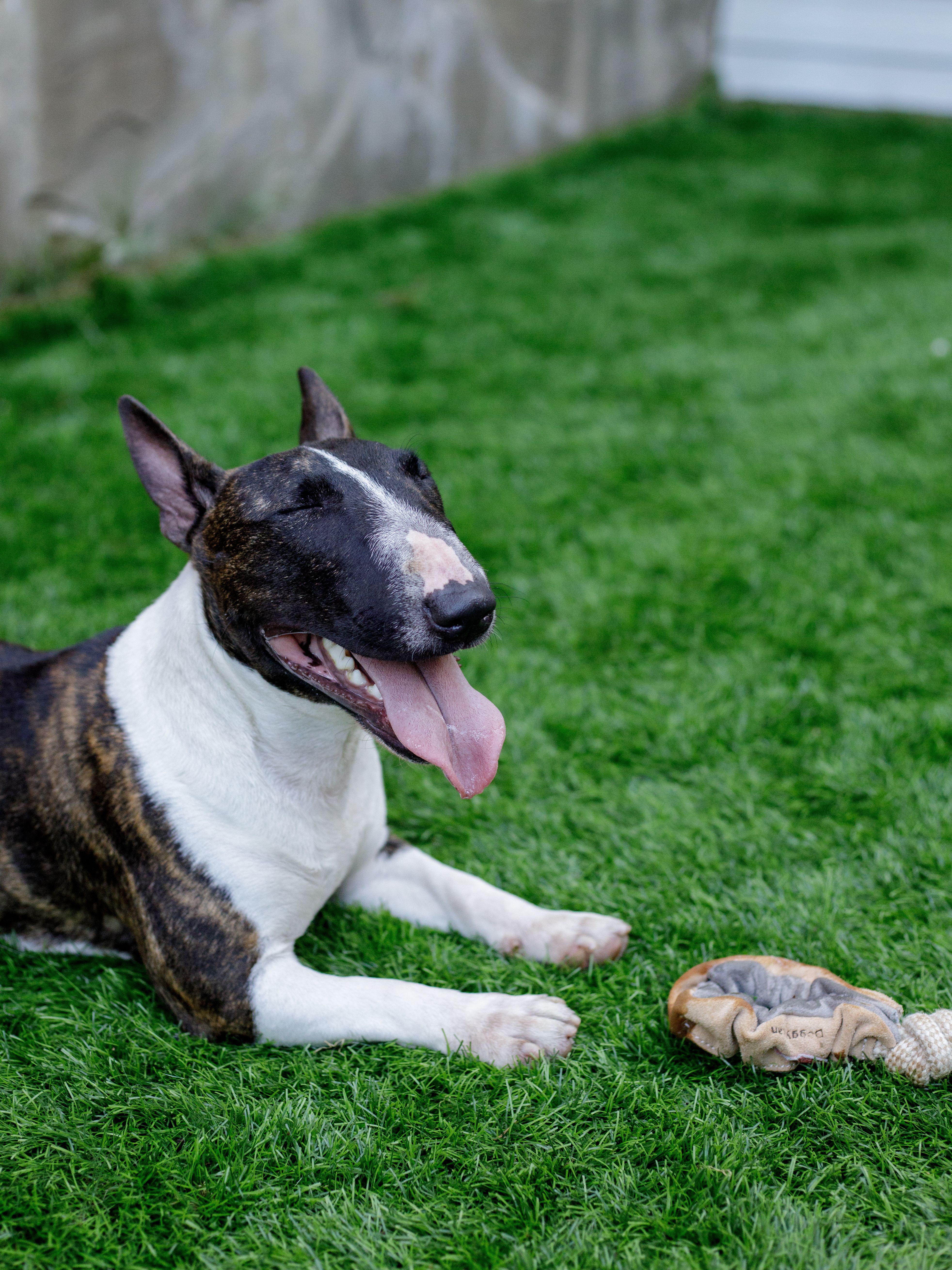 Produkt DTCT857184 Bild 7