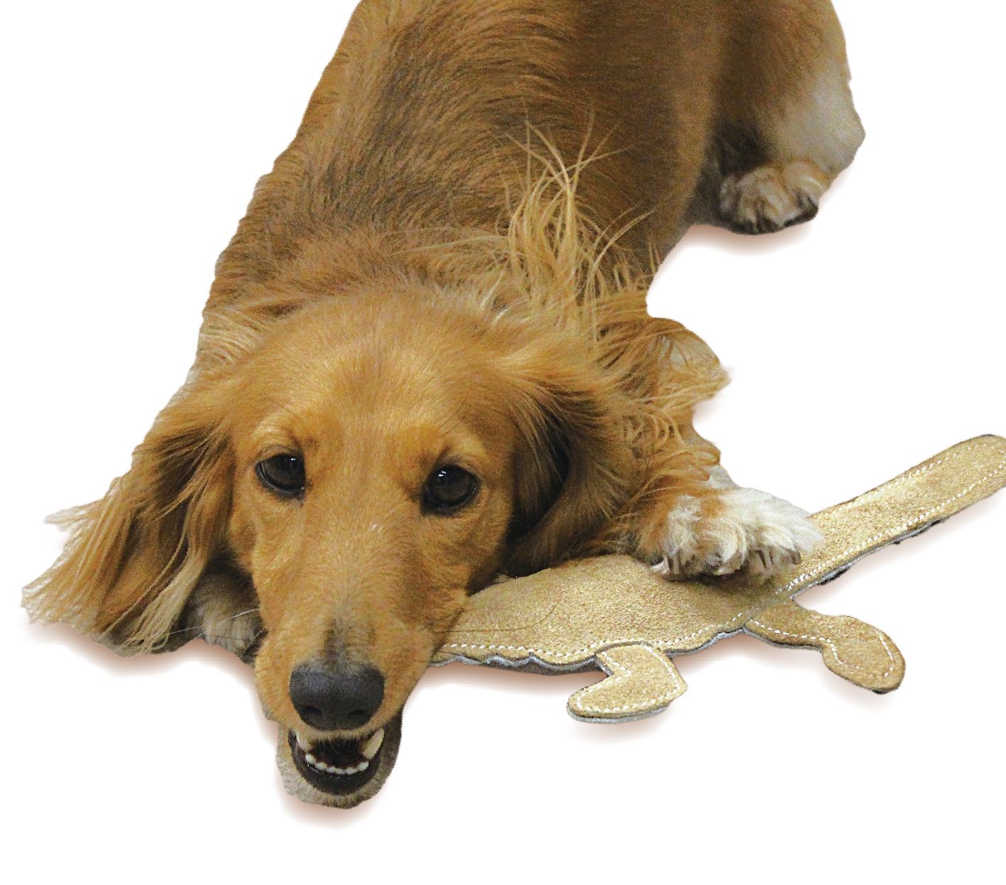 Produkt DTCT857306 Bild 3