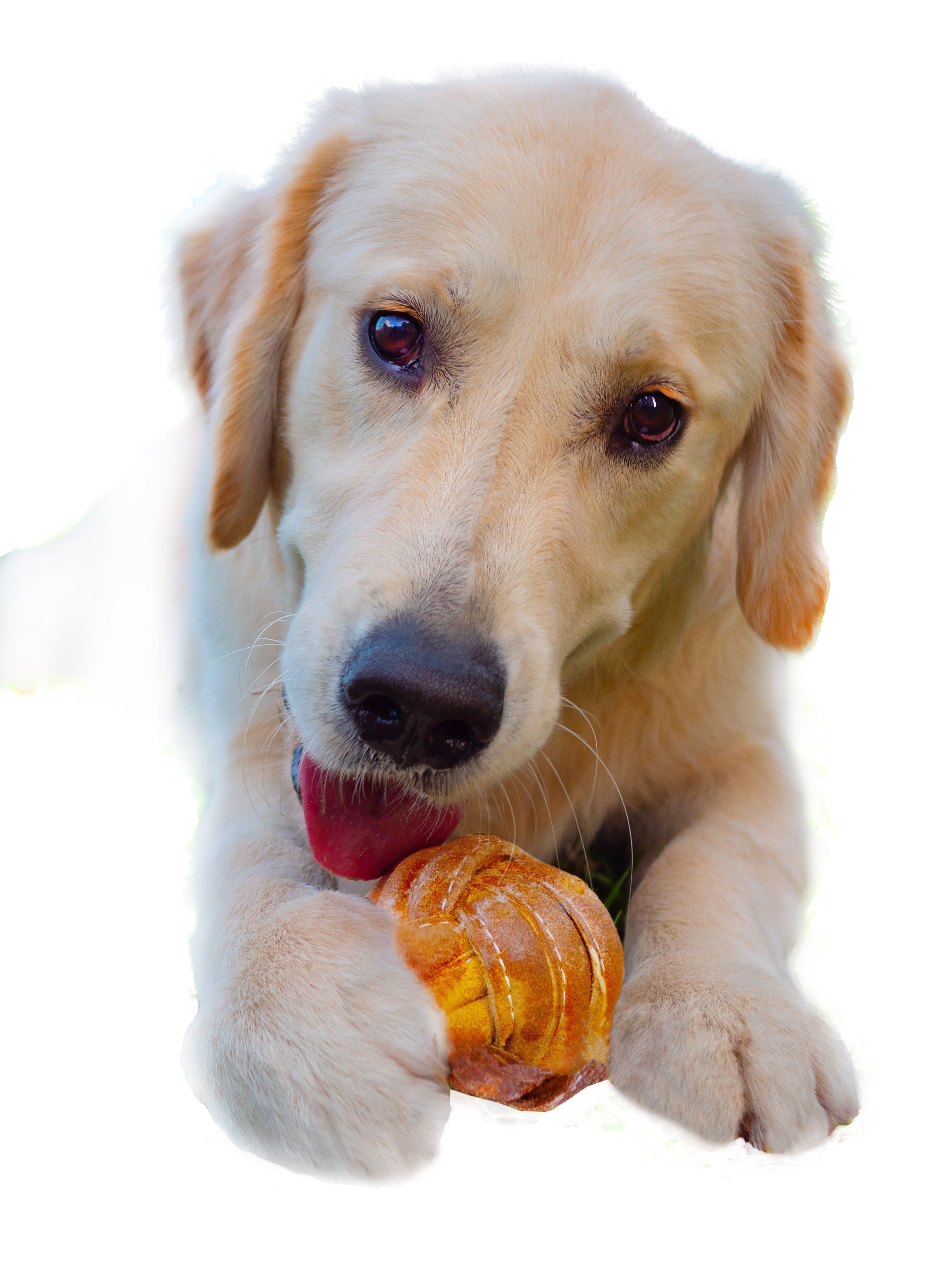 Produkt DTCT857320 Bild 2