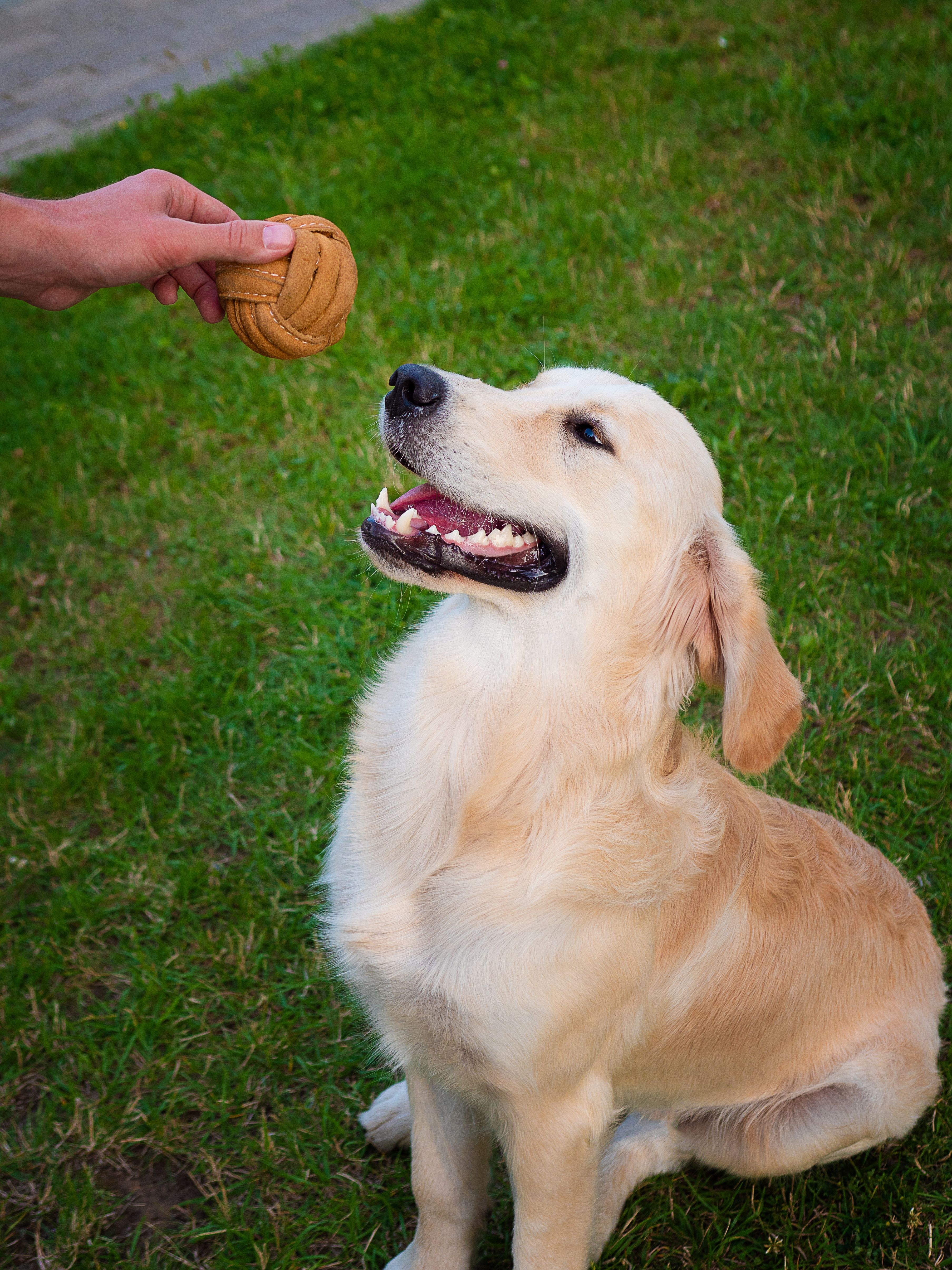 Produkt DTCT857320 Bild 3