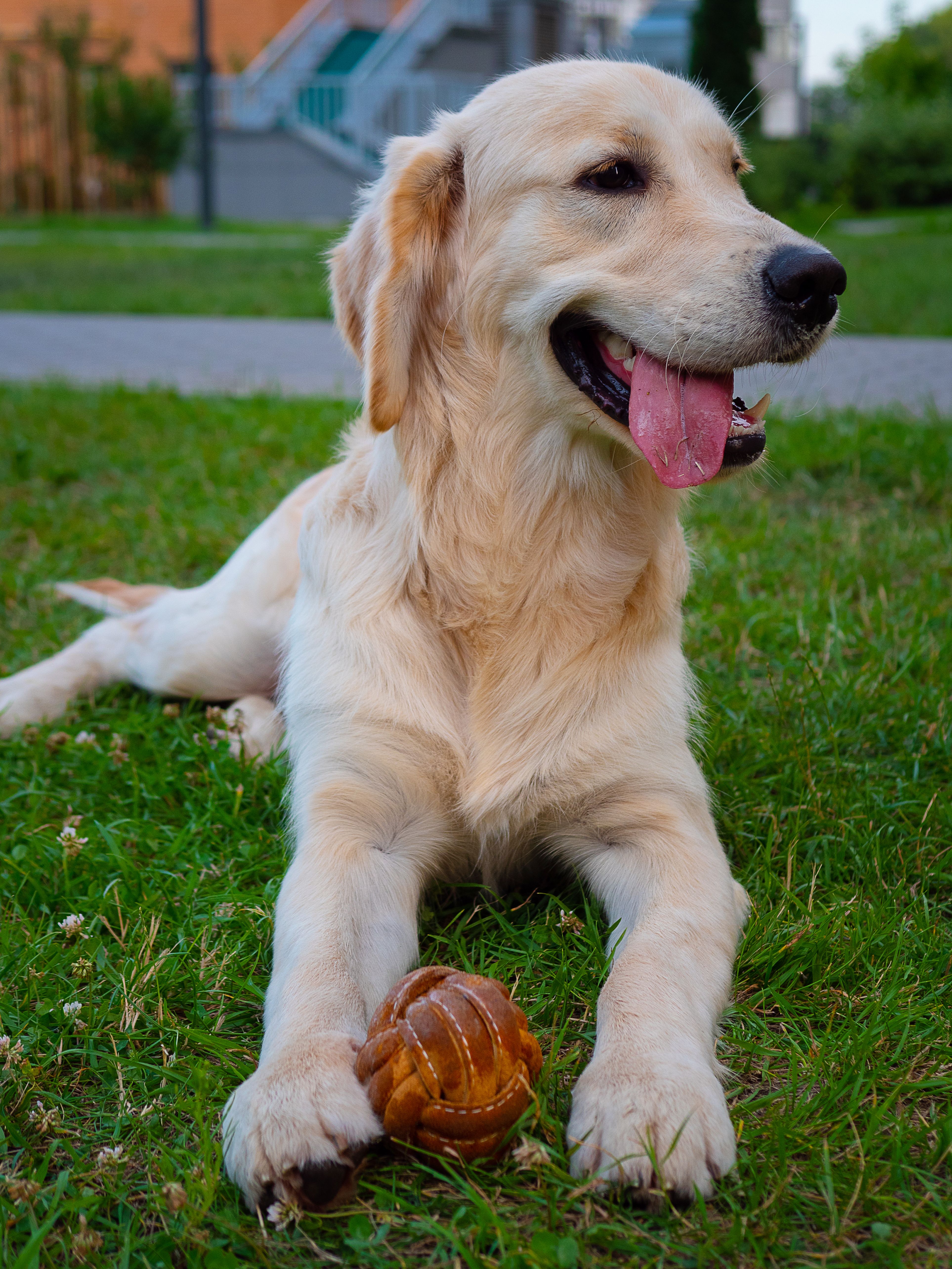 Produkt DTCT857320 Bild 4