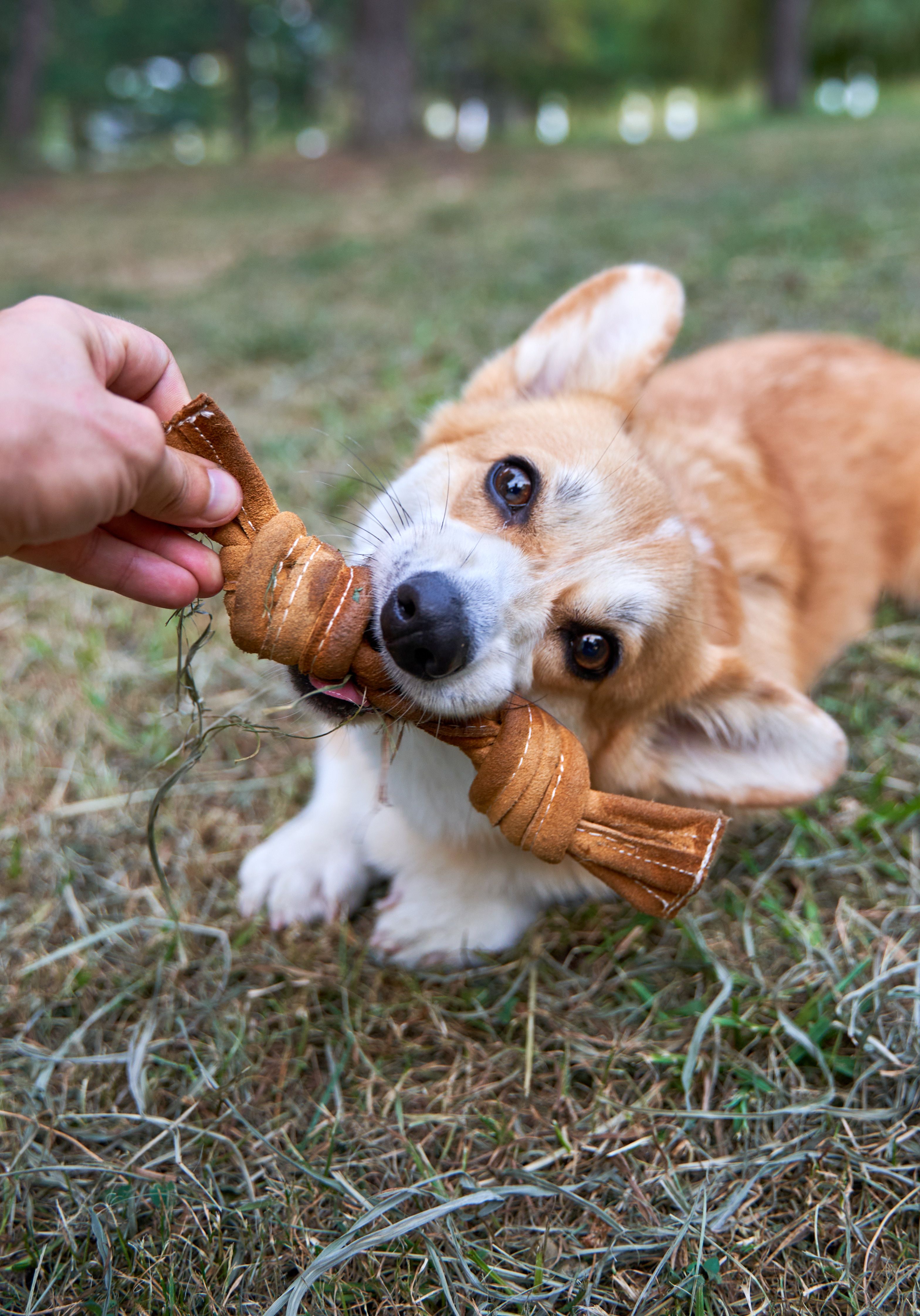 Produkt DTCT857344 Bild 10