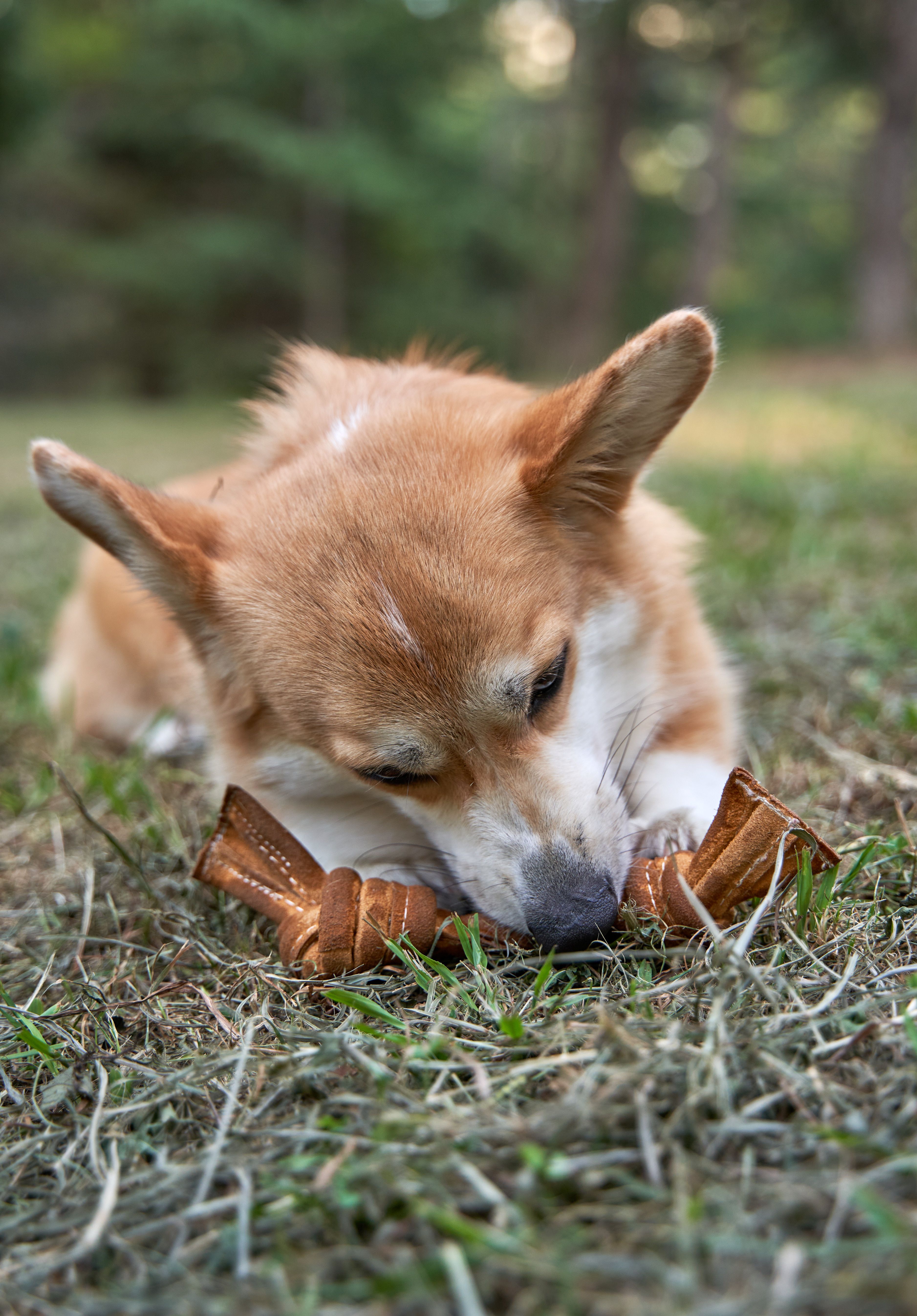 Produkt DTCT857344 Bild 2