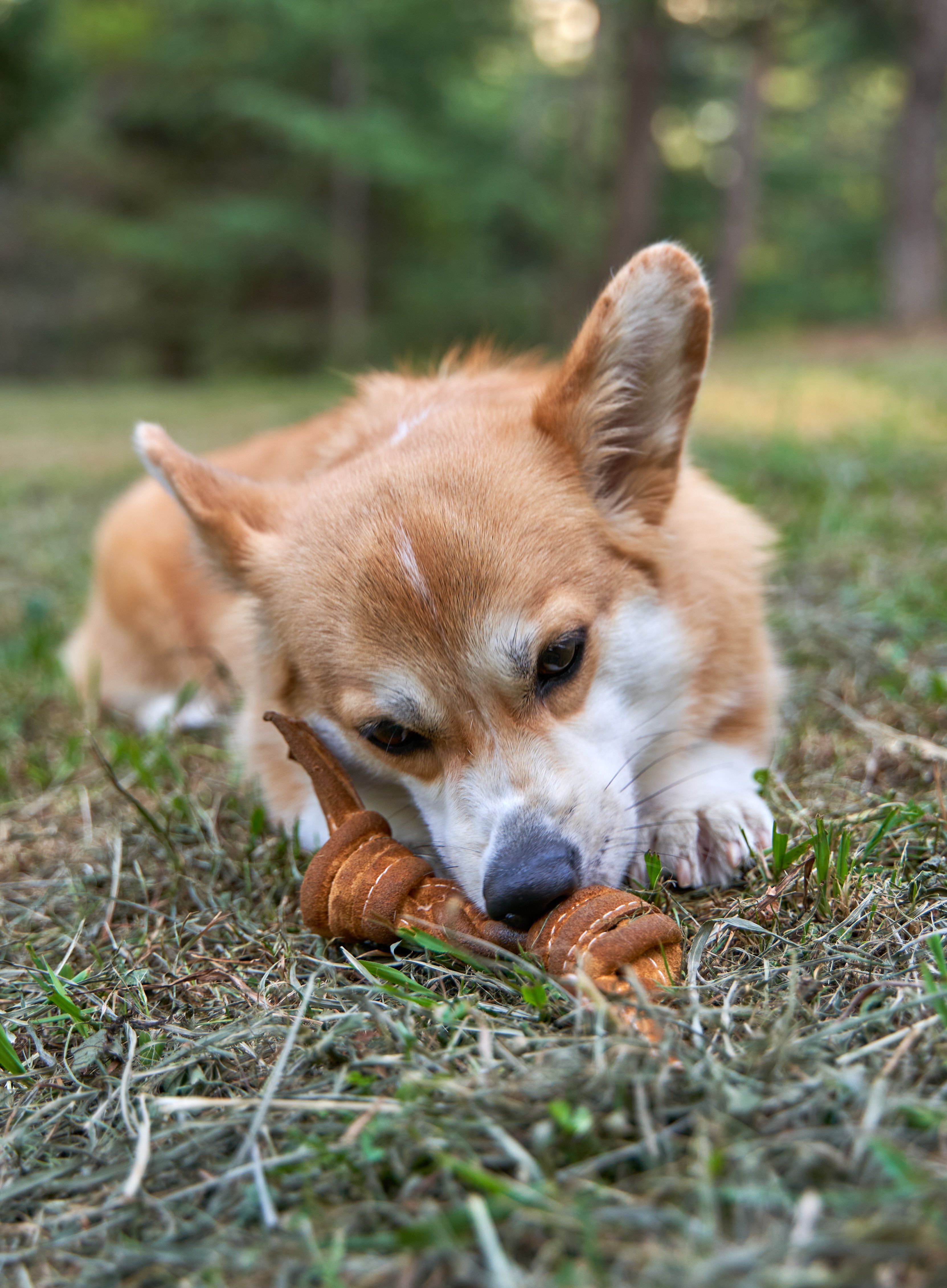 Produkt DTCT857344 Bild 3