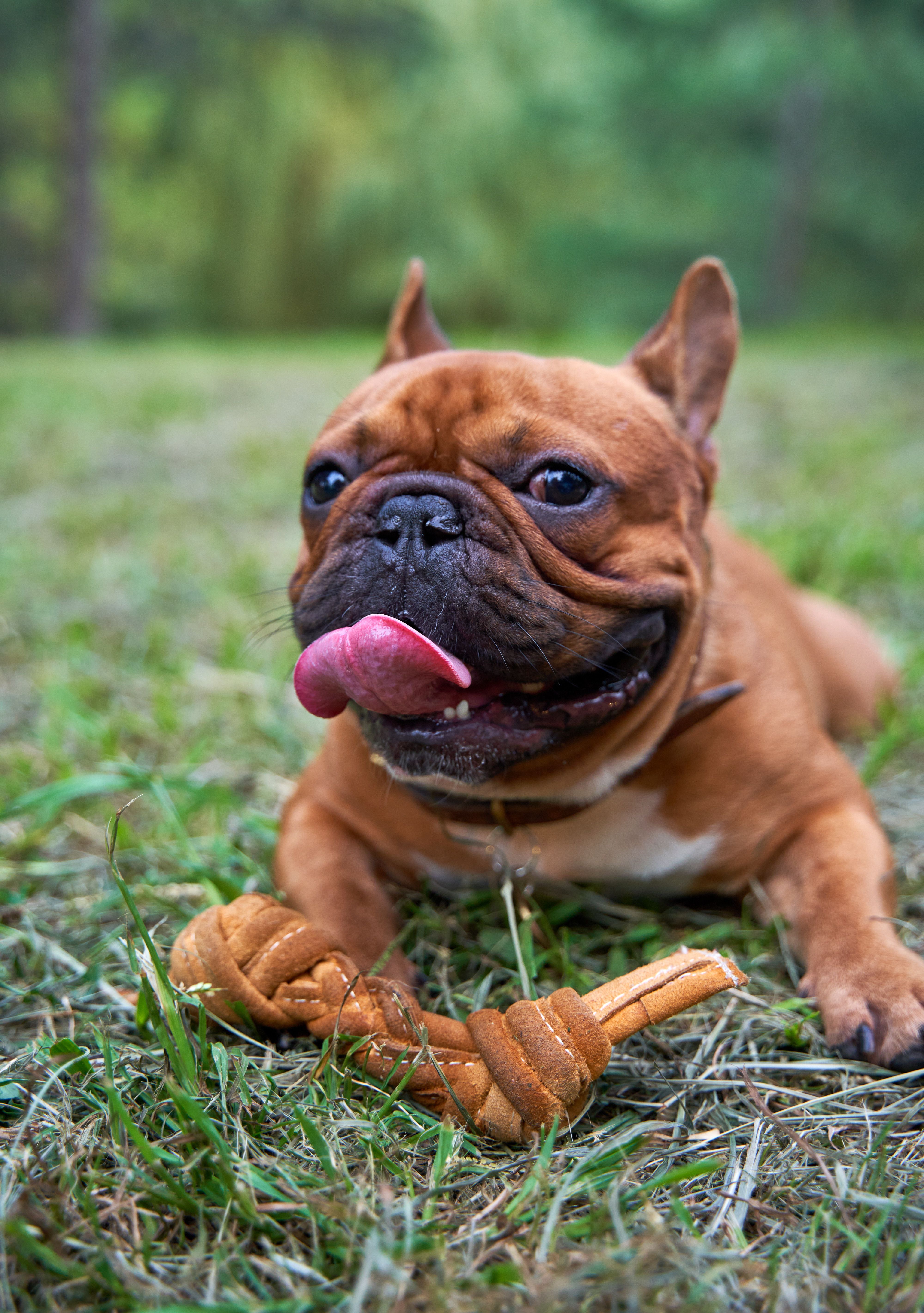 Produkt DTCT857344 Bild 4